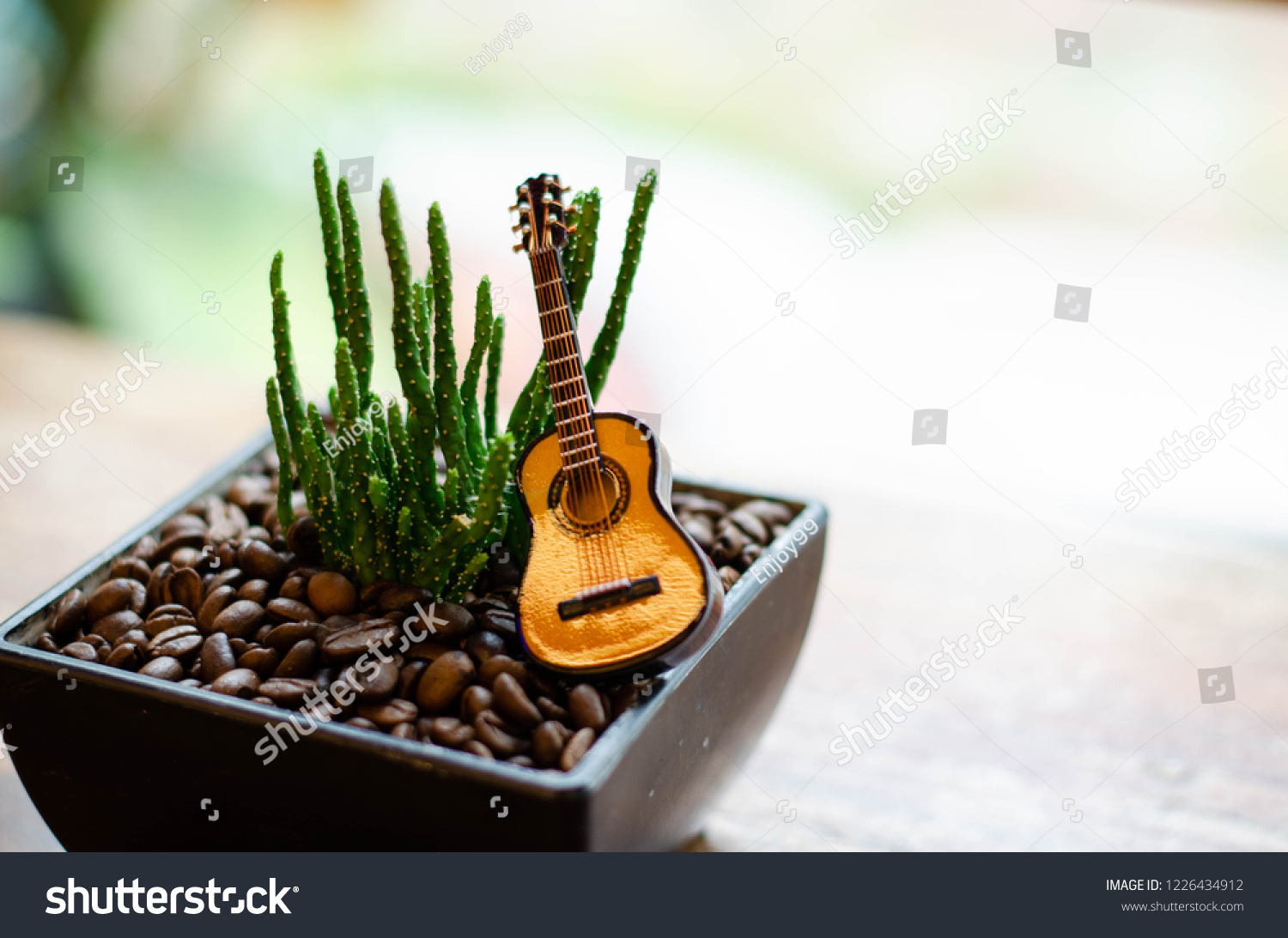 
a small green cactus in black rectangular flowerpot have many coffee bean is roasted in flowerpot and put a small guitar  for decorate on top  put on a wooden table  #1226434912