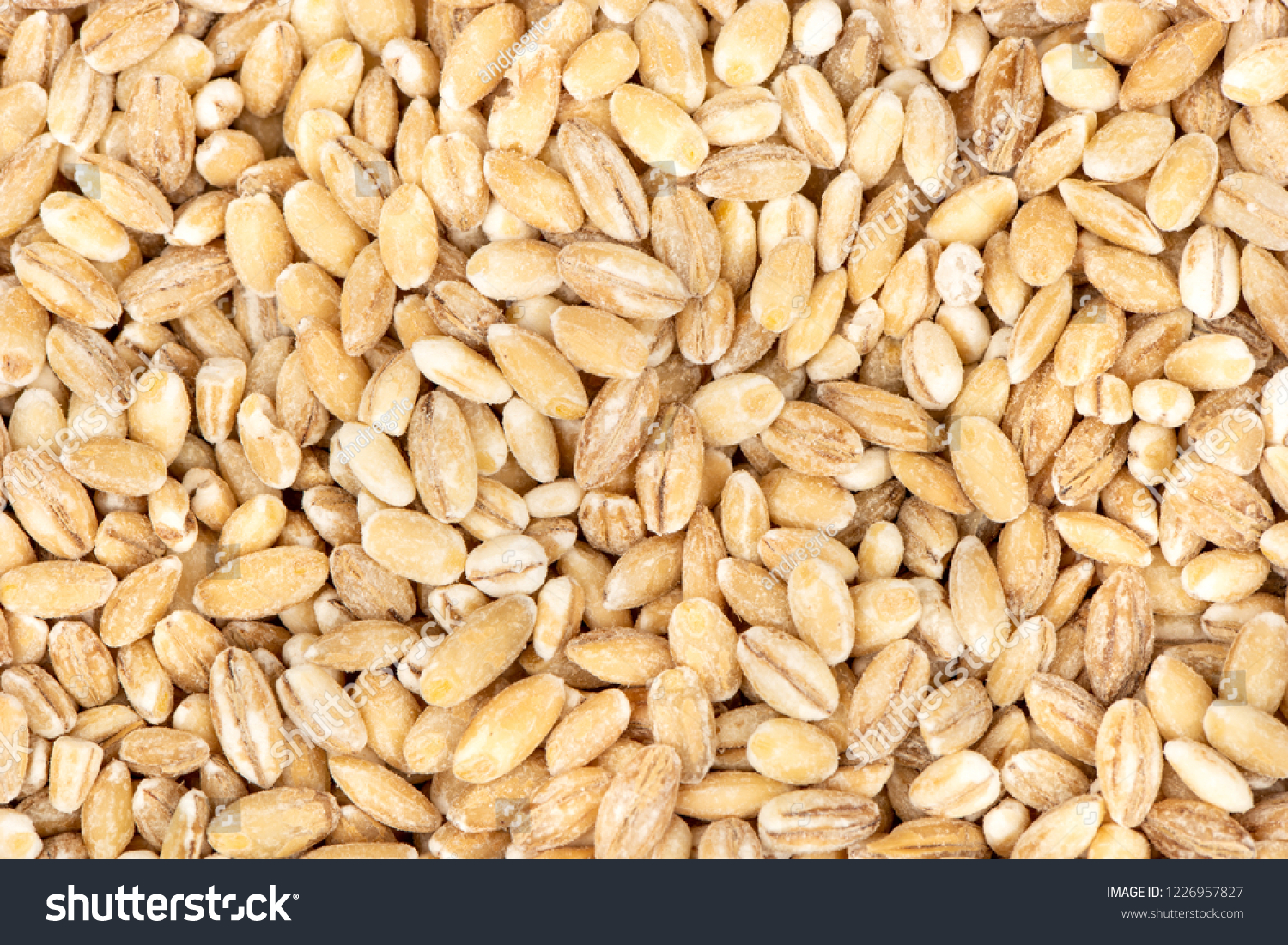 Background from scattered raw pearl barley closeup #1226957827