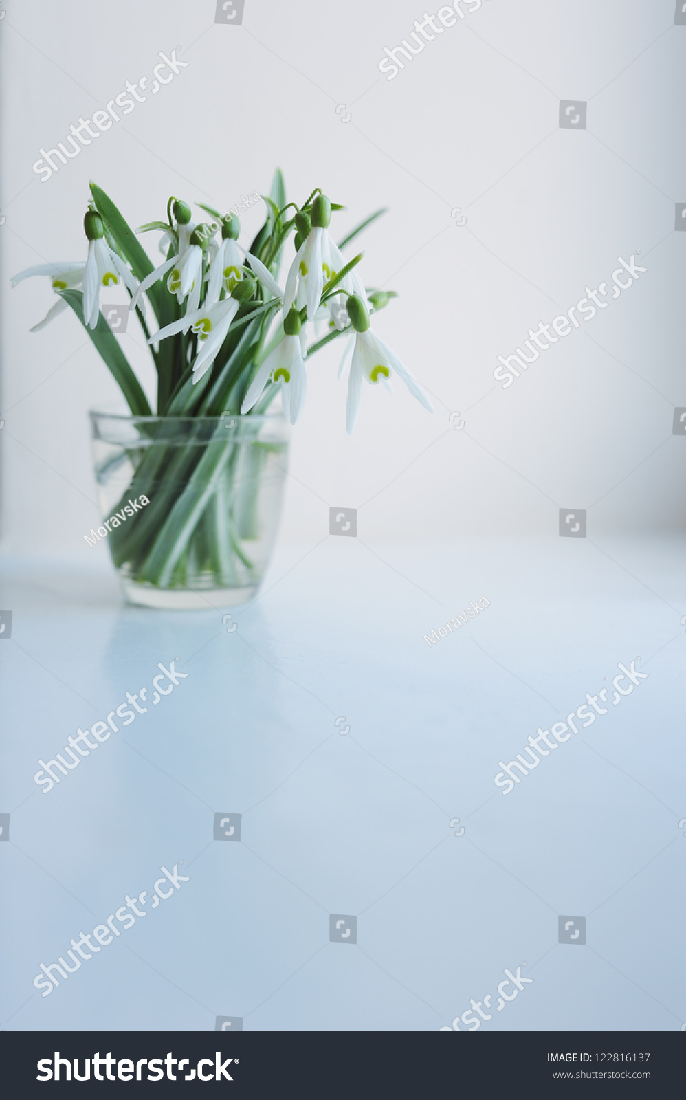 bouquet of snowdrops in a glass #122816137