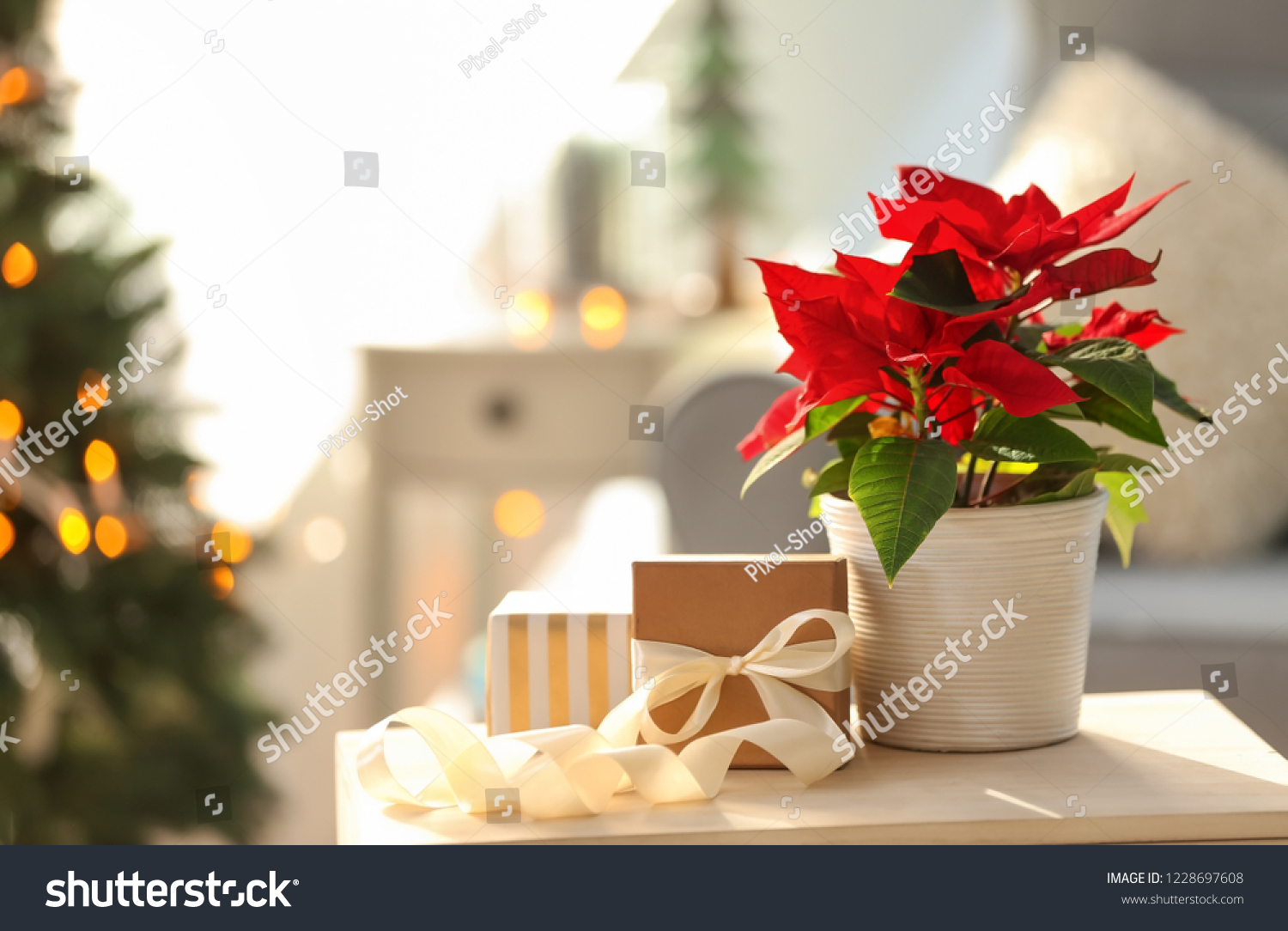 Christmas flower poinsettia with gift boxes on light table #1228697608