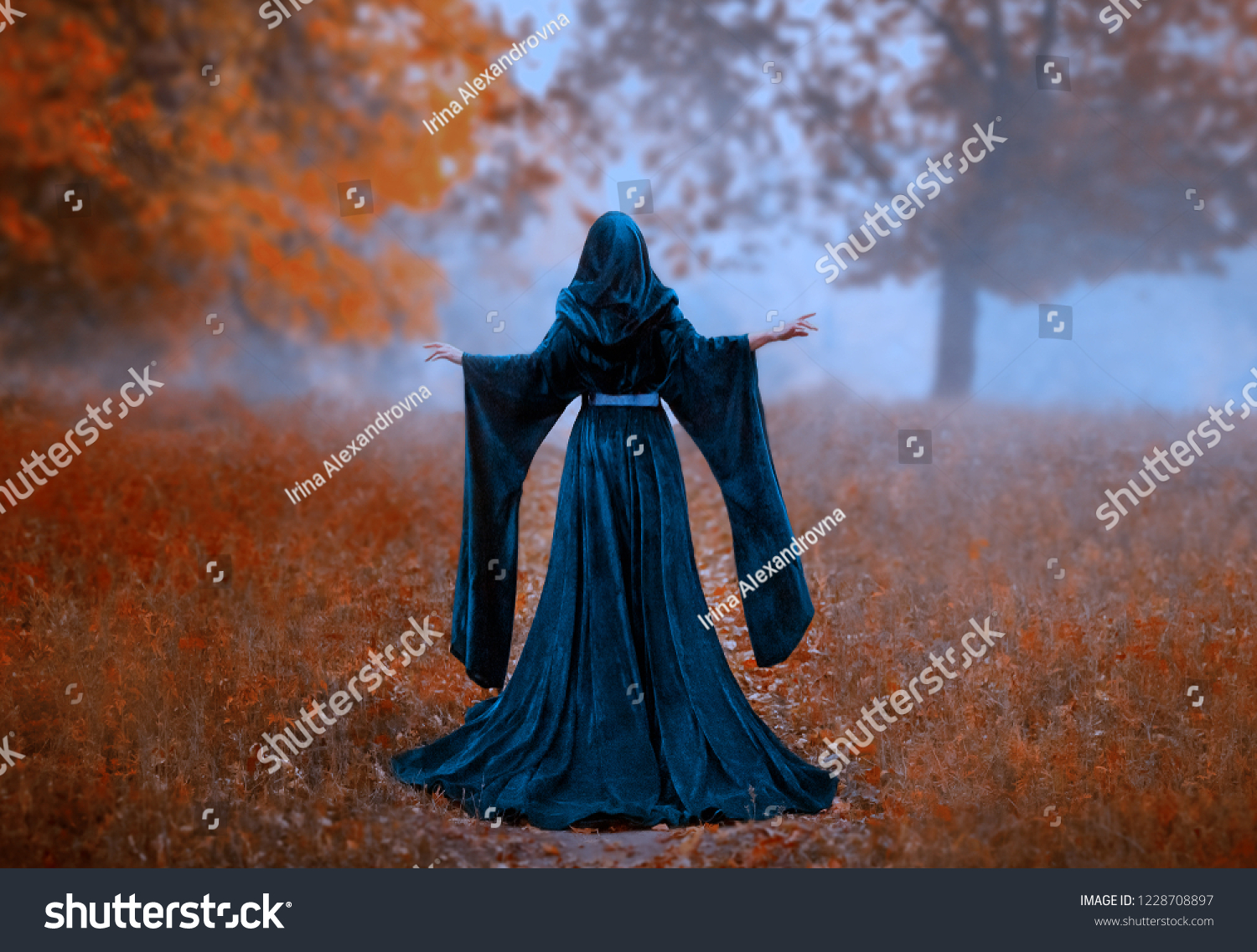 young Dark queen holds hands raised. autumn mystic forest fog orange tree. vintage blue velvet cape dress hood. art photo fantasy mysterious woman silhouette medieval back witch, Halloween design  #1228708897