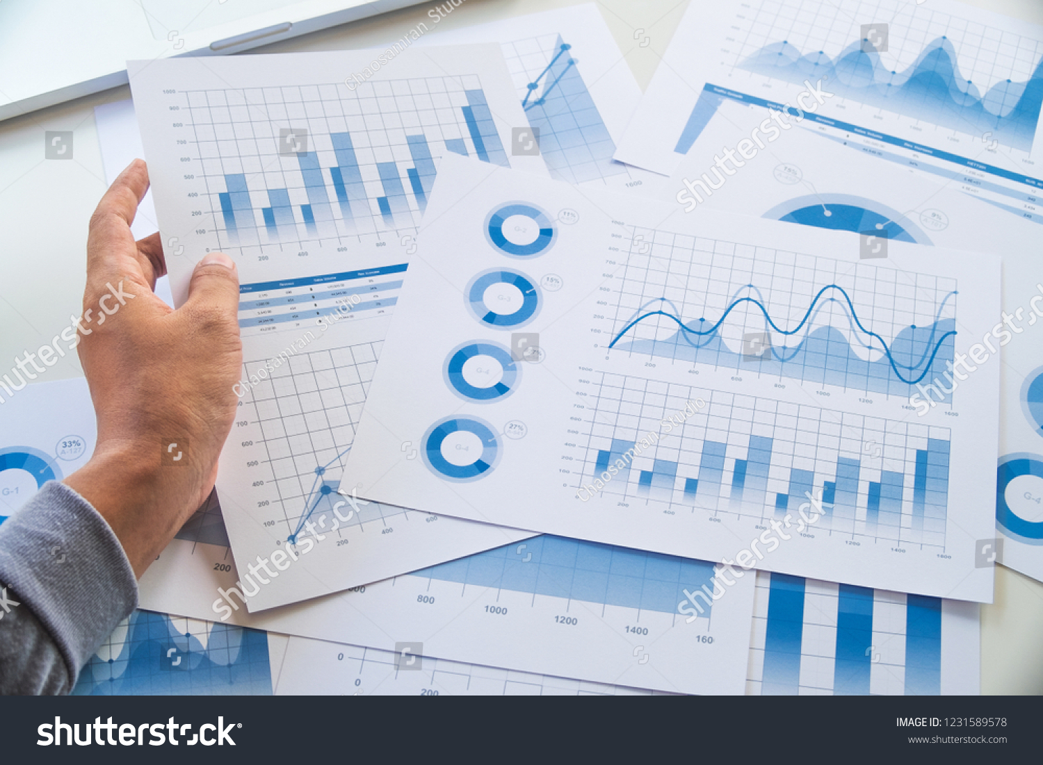 businessman working data document graph chart report marketing research development  planning management strategy analysis financial accounting. Business  office concept. #1231589578