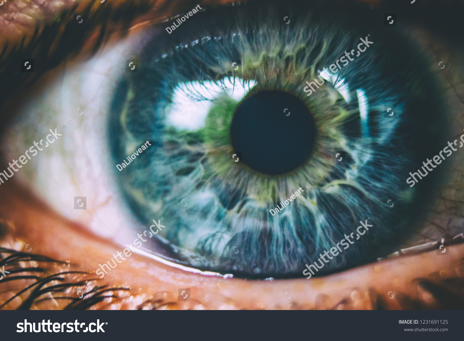 Beautiful macro photo of human eye, iris, pupil, eye lashes, eye lids. #1231691125
