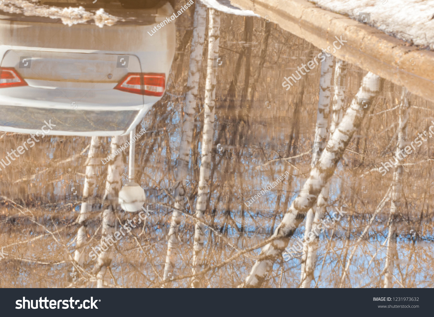 background texture pattern. Ice out of the water. abundant on the surface of the Earth - especially in the polar regions and above the snow track and as a usual form of precipitation and precipitation #1231973632