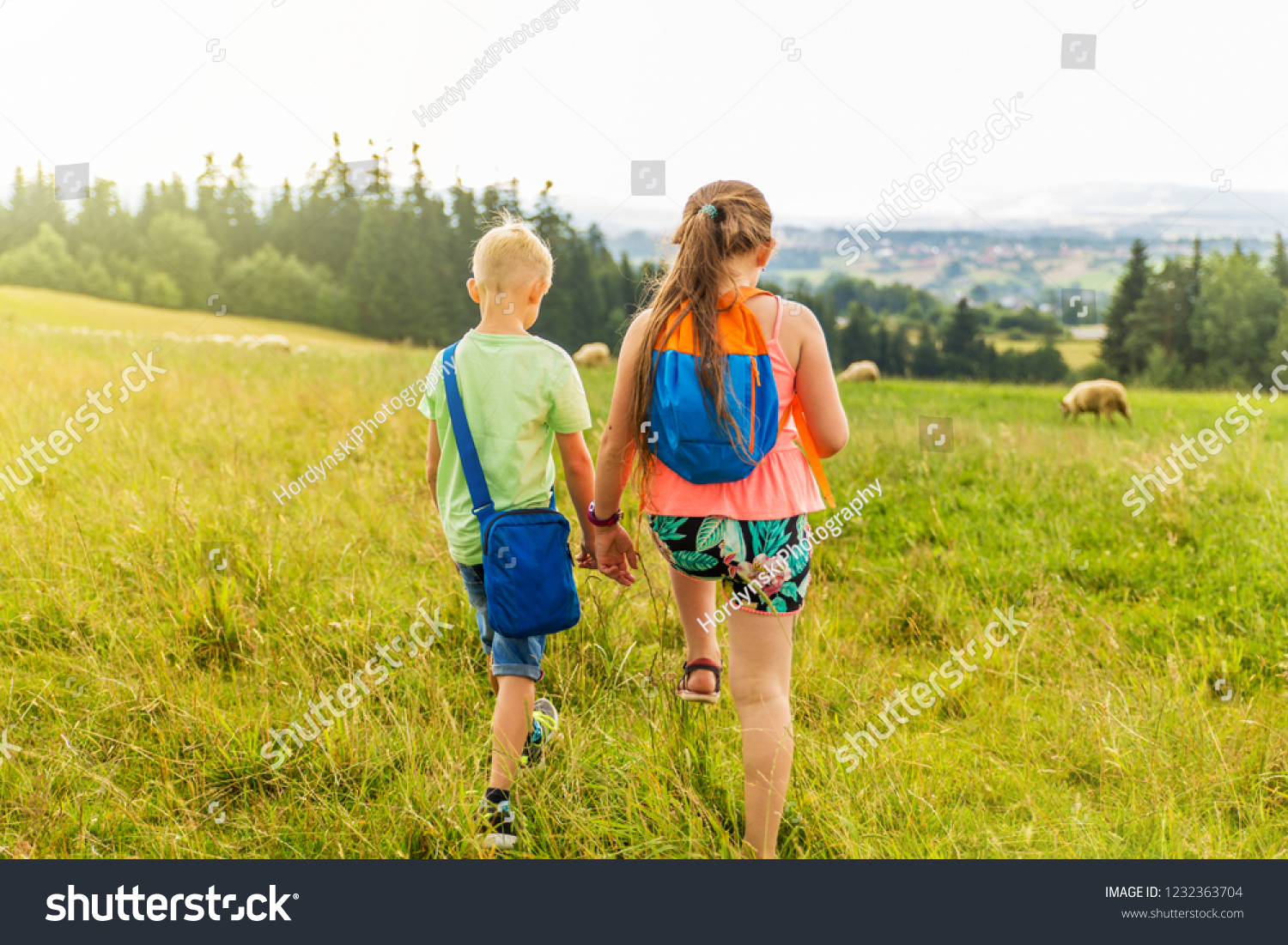 Children are walking around the park and meadow #1232363704