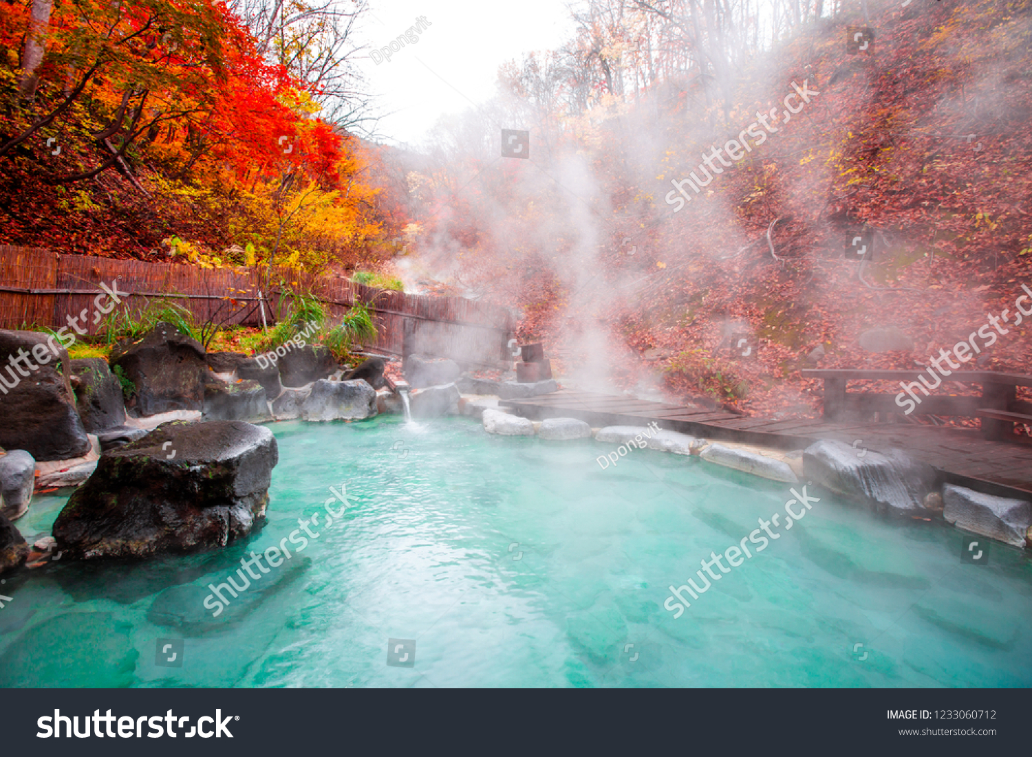 Japanese Hot Springs Onsen Natural Bath Surrounded by red-yellow leaves. In fall leaves fall in Yamagata. Japan. #1233060712