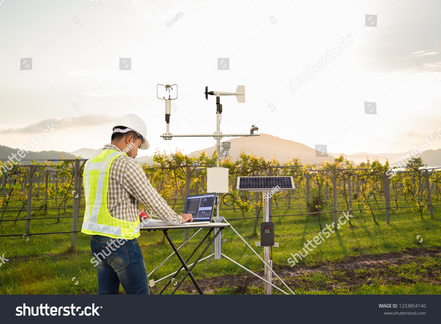Agronomist using tablet computer collect data with meteorological instrument to measure the wind speed, temperature and humidity and solar cell system in grape agricultural field, Smart farm concept #1233854140