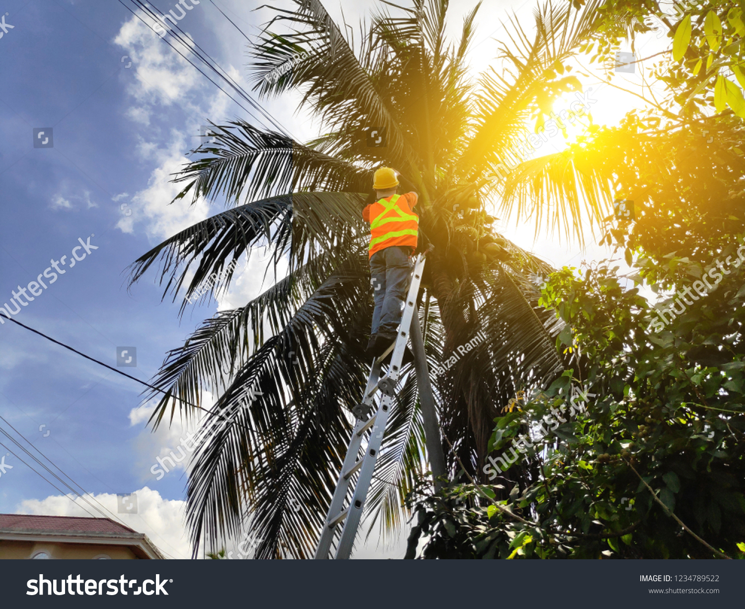 A worker doing maintenance at telecommunication pole. Sun flare. #1234789522