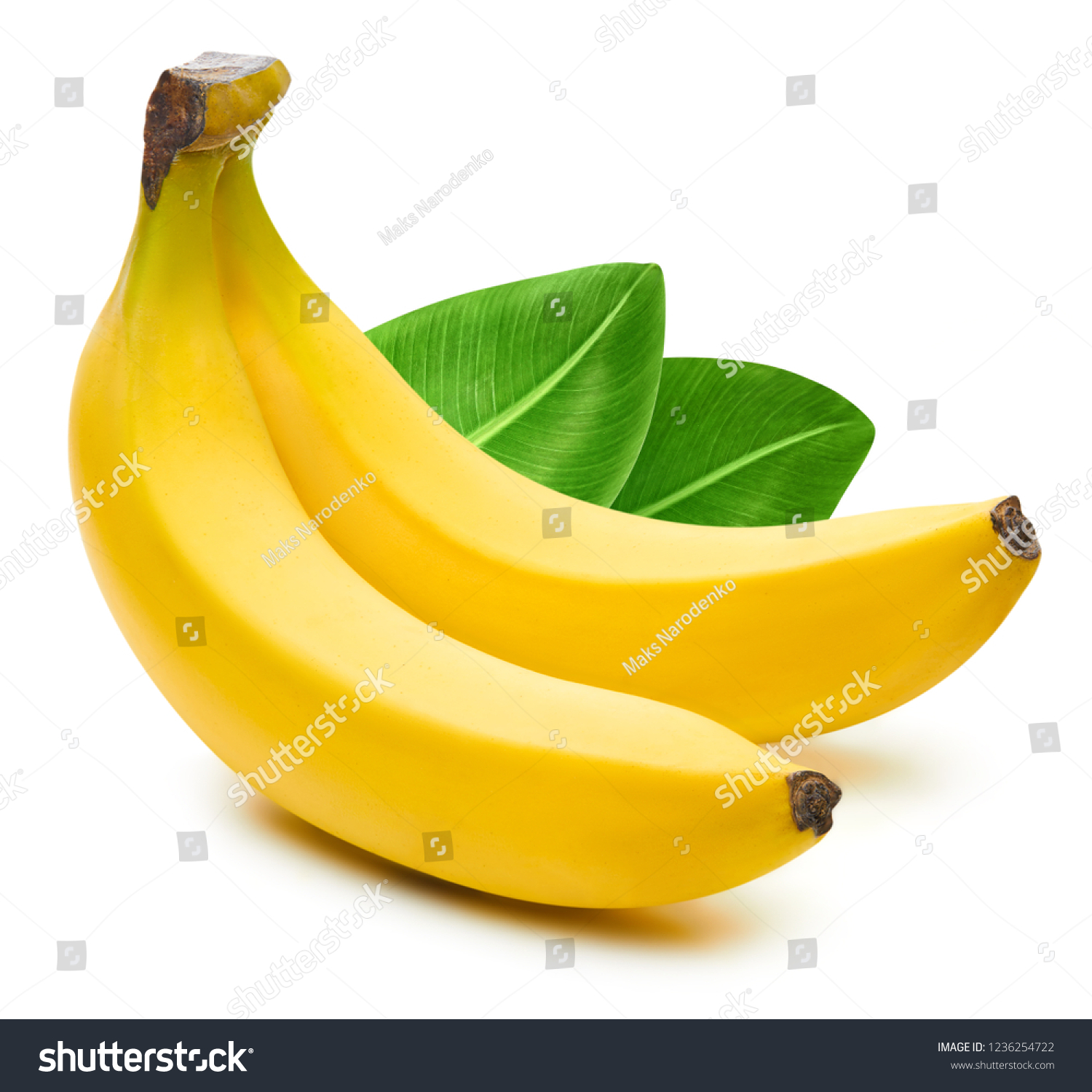 Bunch of bananas isolated on white background. Bananas with leaves Clipping Path #1236254722