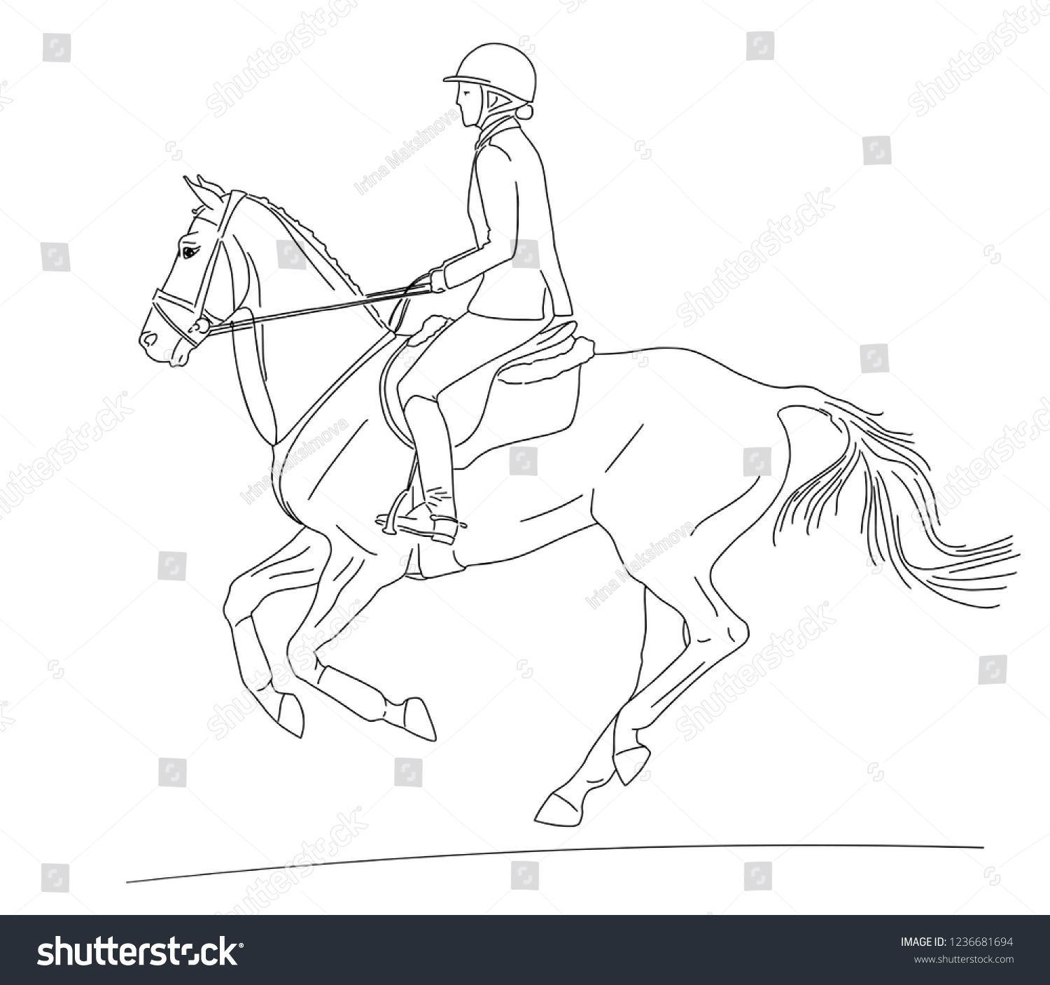 Equestrian sport. A rider cantering on a horse. - Royalty Free Stock ...