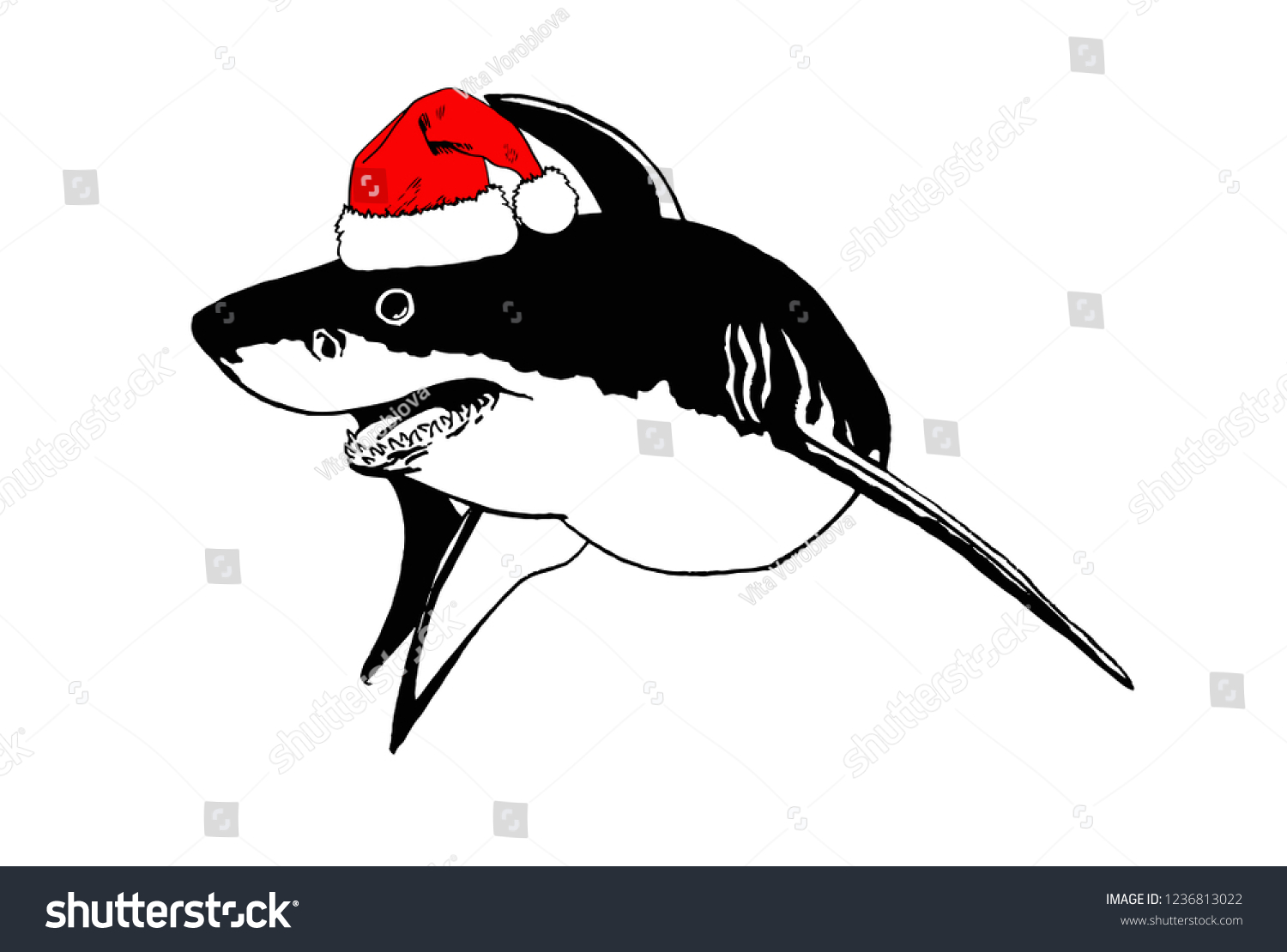 Graphical Sharks In Santa Claus Hat Isolated On Royalty Free Stock