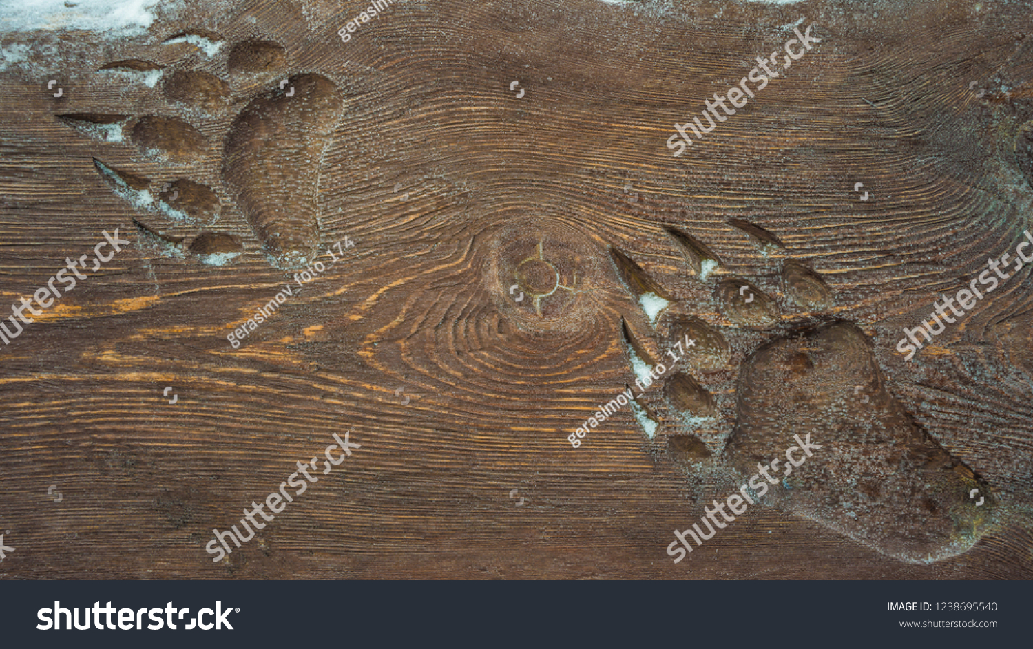 Animal footprint on the wooden surface of a bear. #1238695540