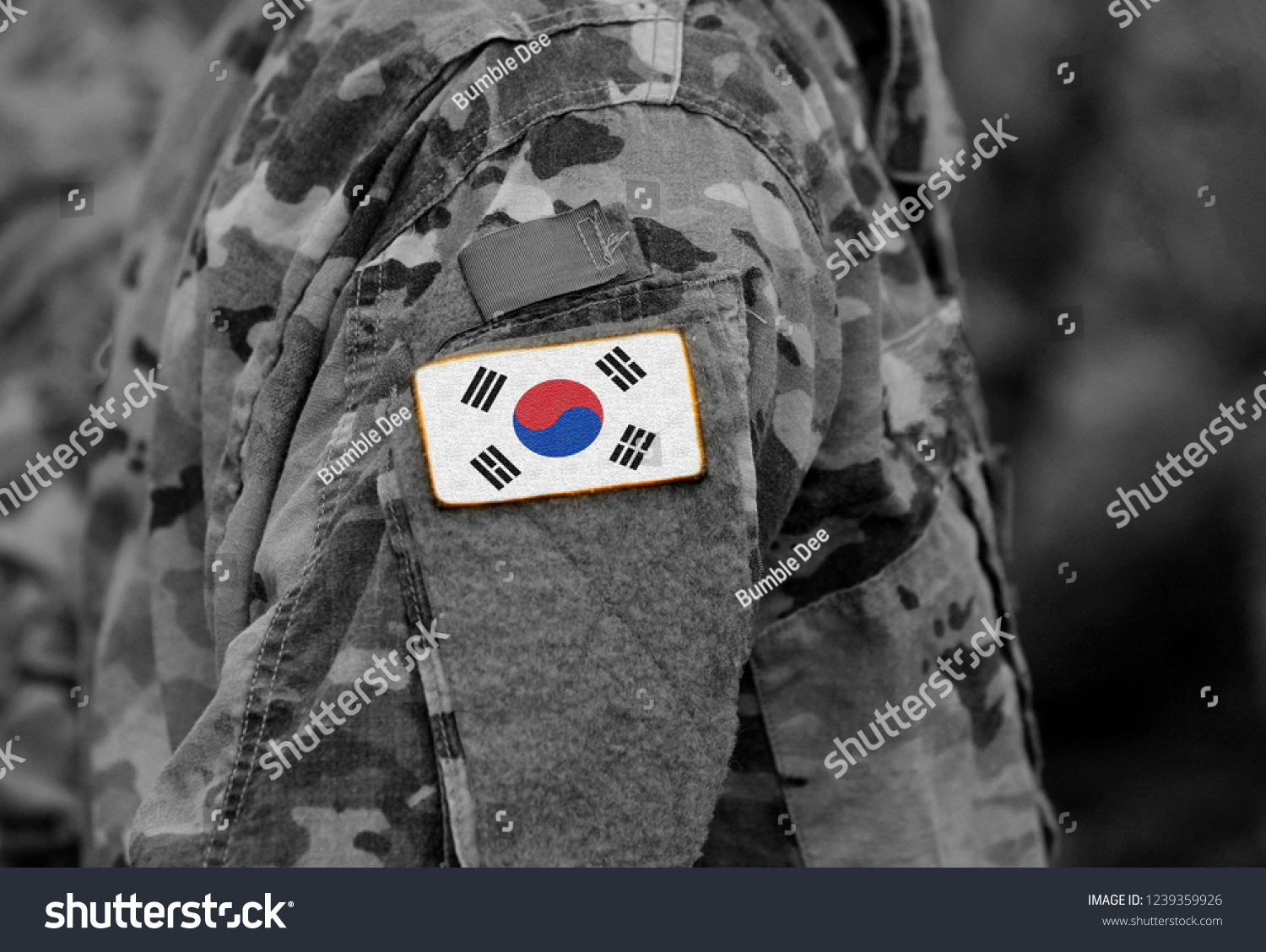 South Korea flag on soldiers arm (collage). #1239359926