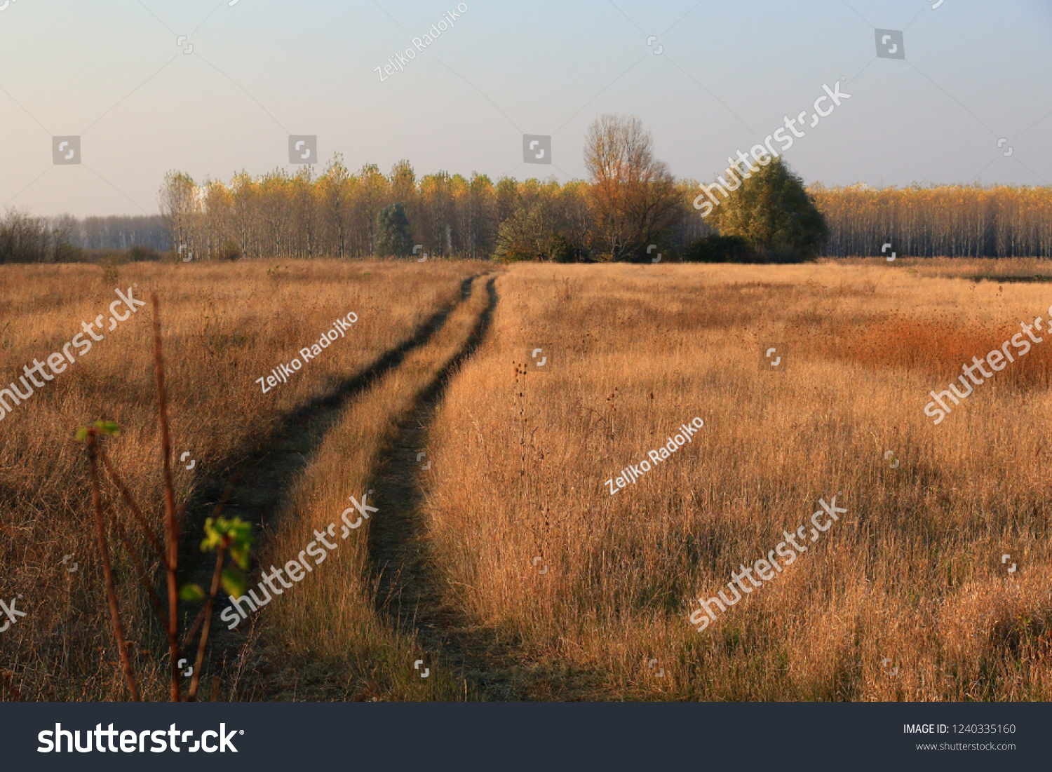 Beautiful Fall scene on curved unpaved road #1240335160