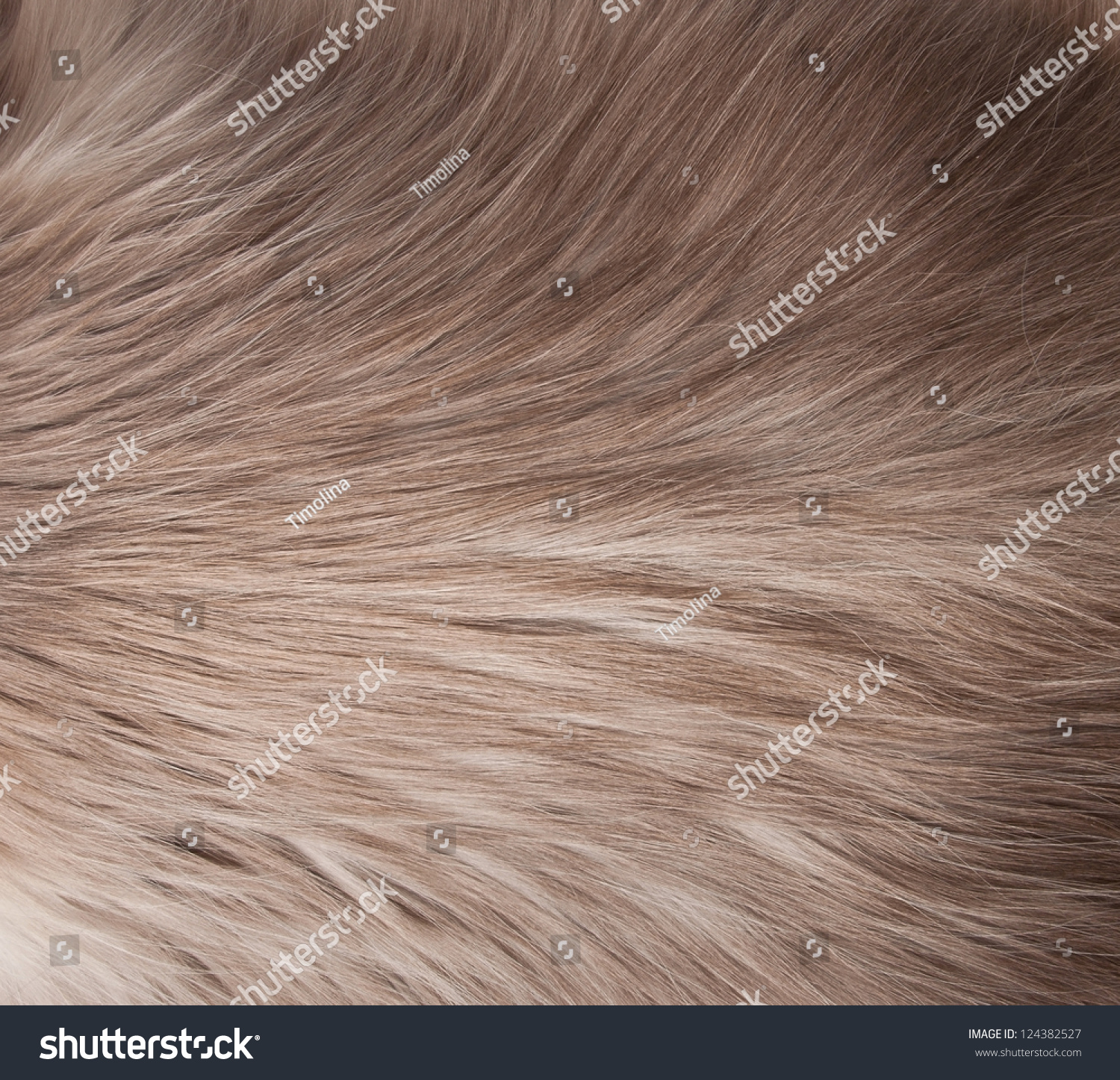  fur texture close-up background #124382527