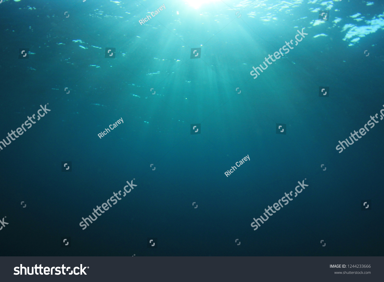 Underwater blue background  #1244233666