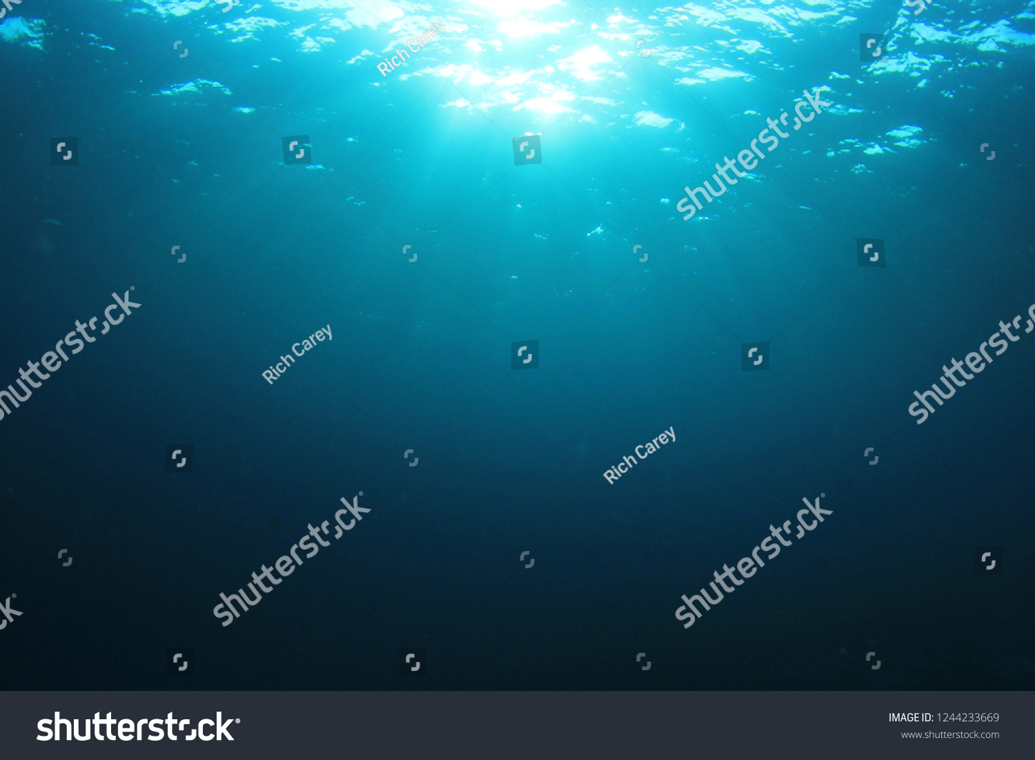 Underwater blue background  #1244233669