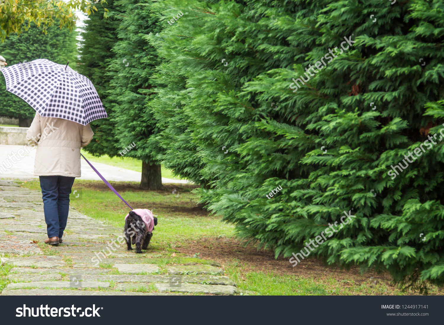 dog and owner with umbrella walking in the rain #1244917141