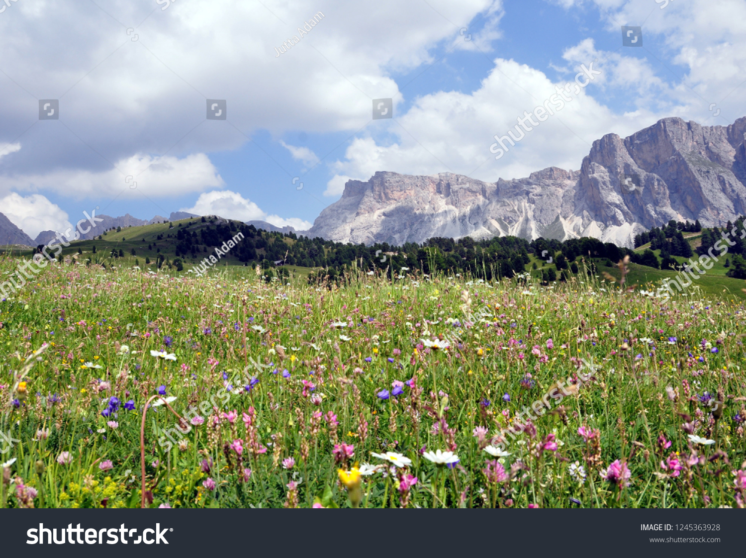 Hiking in the Dolomites #1245363928