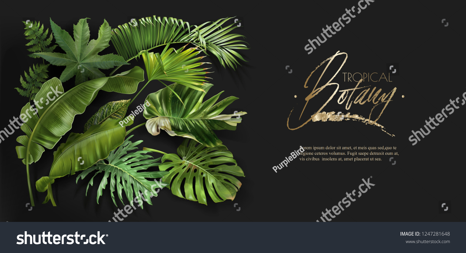 Vector horizontal banner with green tropical leaves on black background. Luxury exotic botanical design for cosmetics, spa, perfume, aroma, beauty salon. Best as wedding invitation card #1247281648