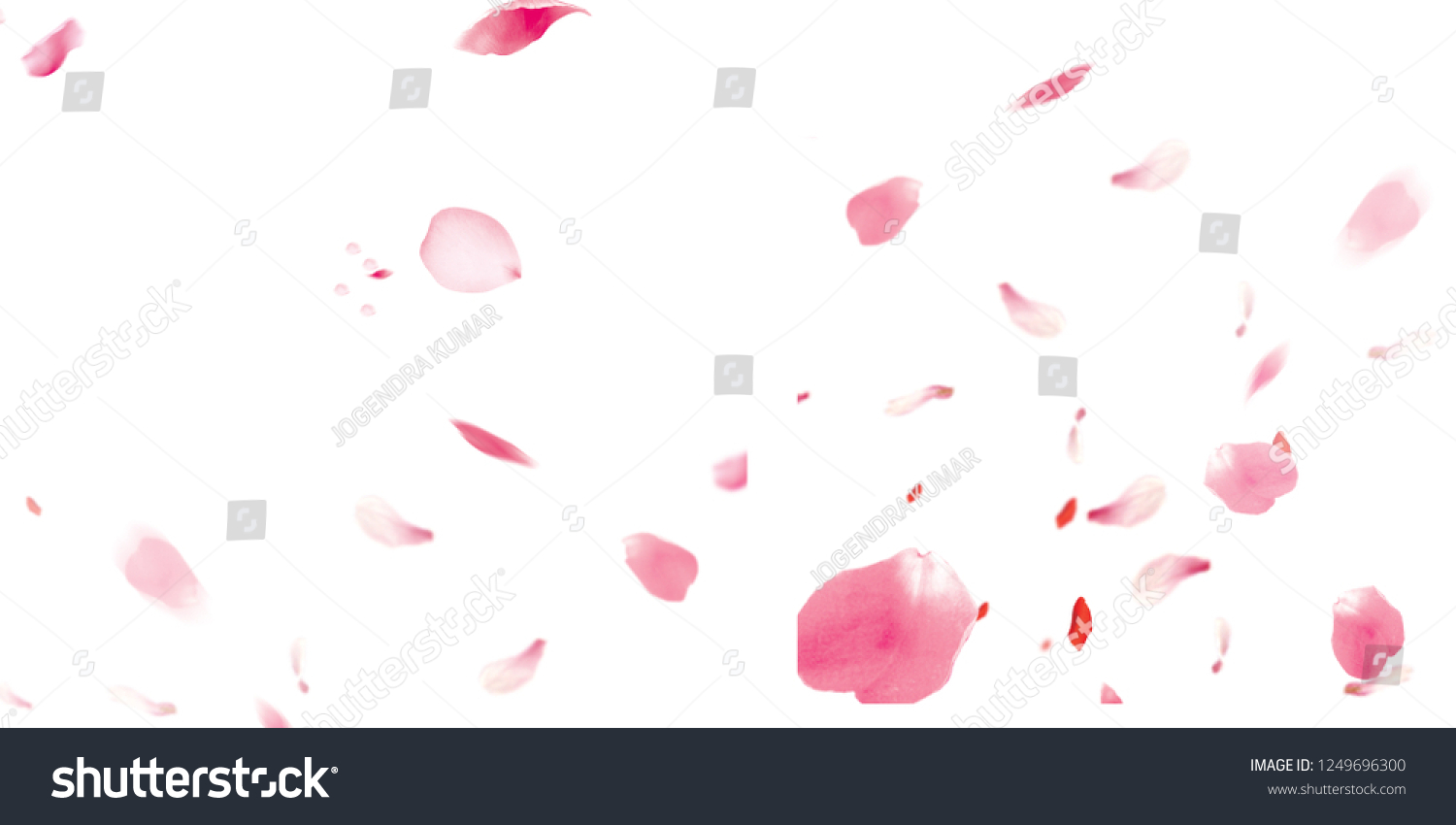 Petals Stock Image with blur effect #1249696300