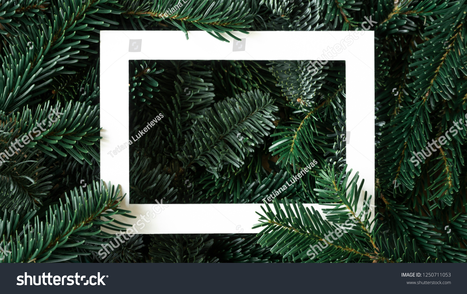 2019 Merry Christmas and happy New Year background with christmas tree branches creative layout and white frame. Nature flat lay concept. #1250711053