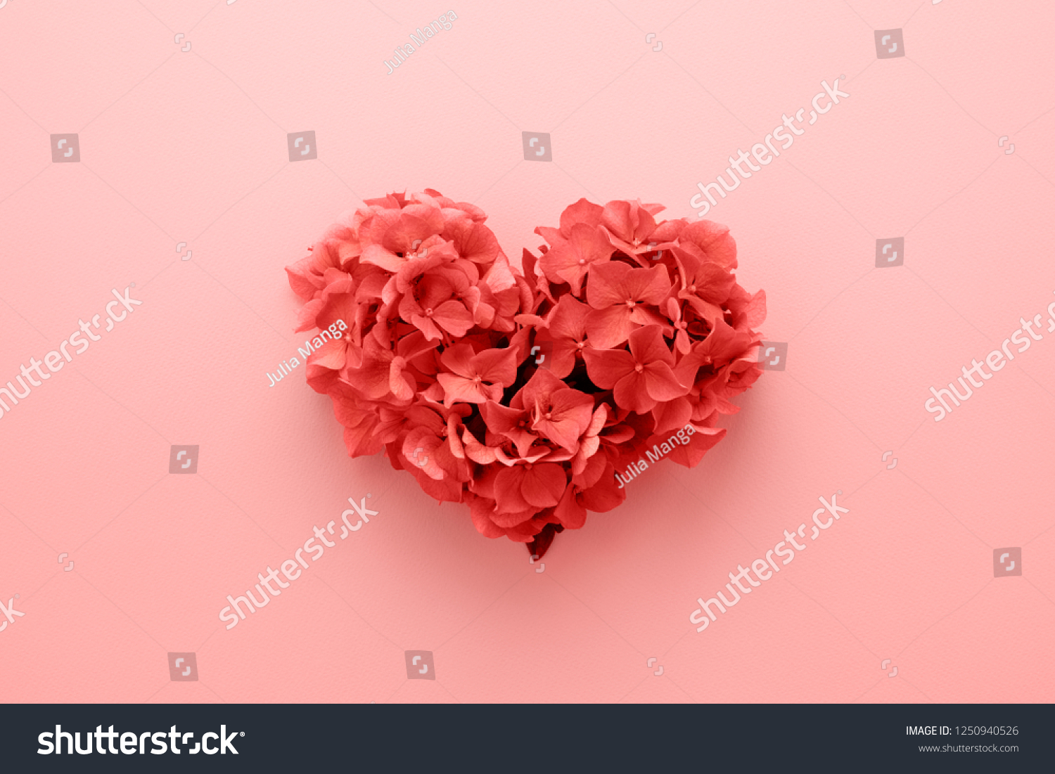Living Coral color of the Year 2019. Heart shape made of flowers. Valentine's day. Color palette. Love fashion
 #1250940526