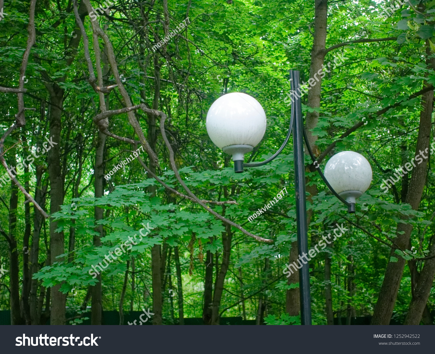 street lamp in the Park against a tree in the summer, Moscow #1252942522