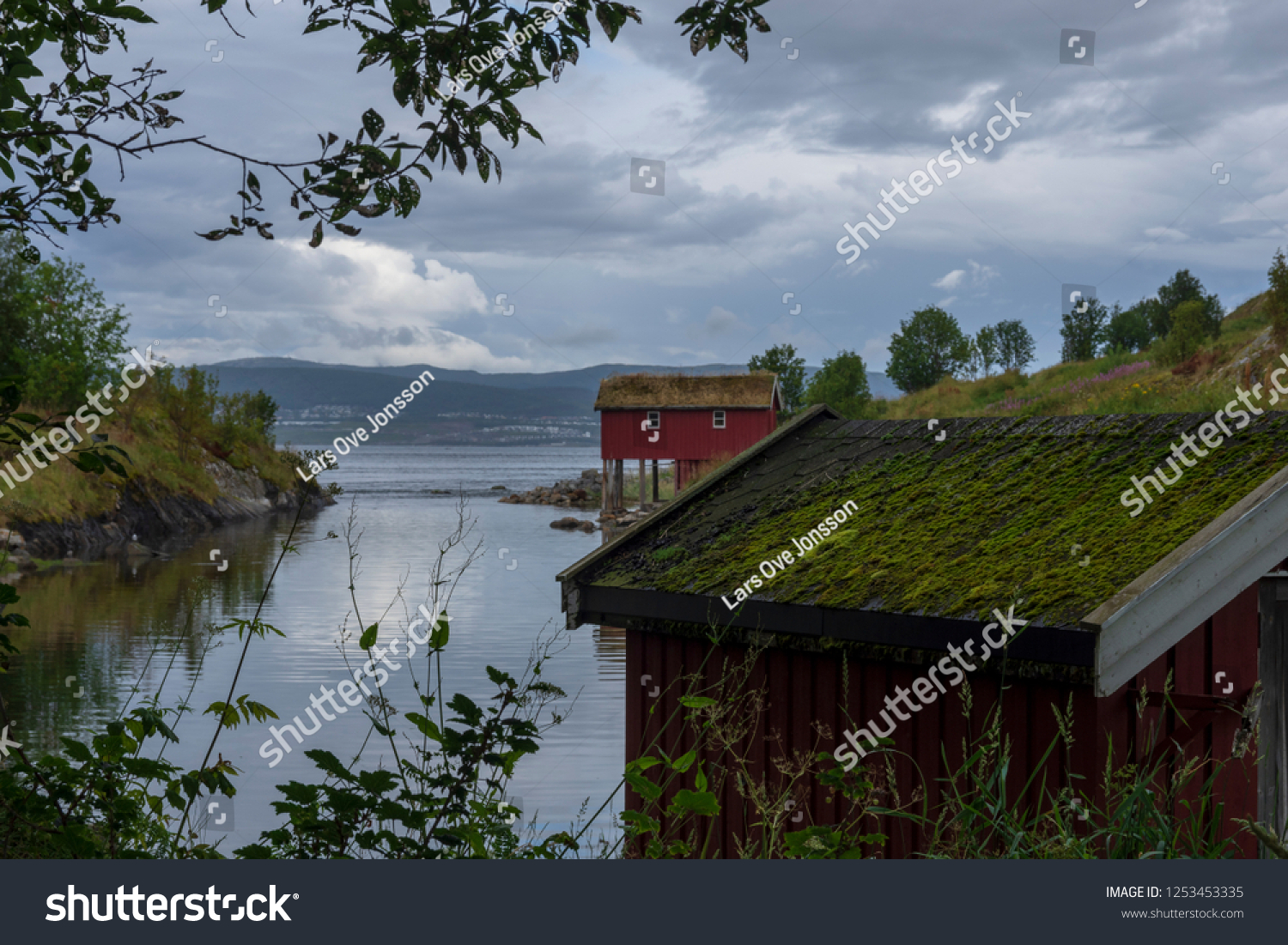 Boathouse in a little bay with calm water with moss on the roof in foreground and a red boathouse in background, picture from the Northern Norway.   #1253453335