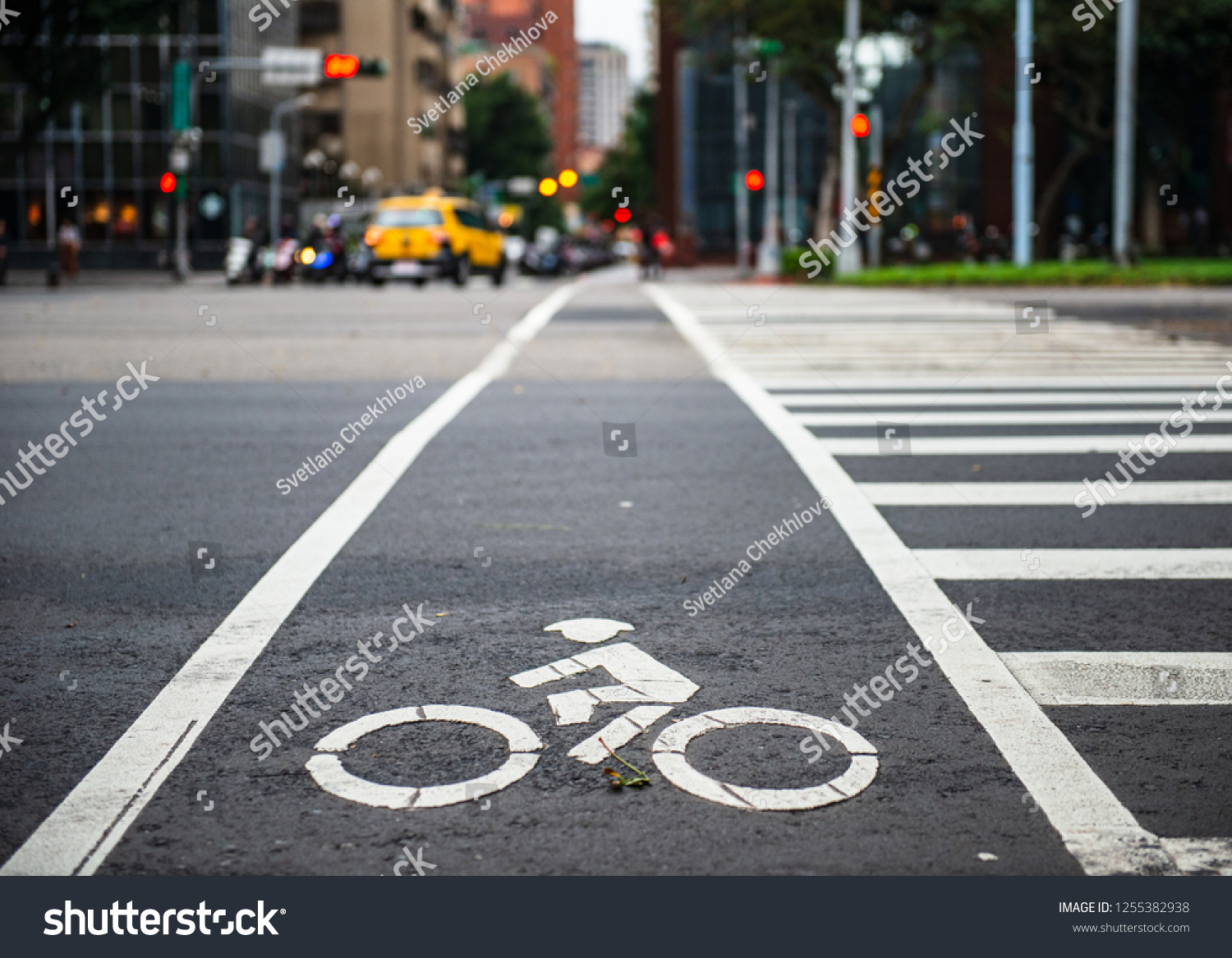 Bicycle lane with bicycle white road sign. Sustainable lifestyle concept.  #1255382938