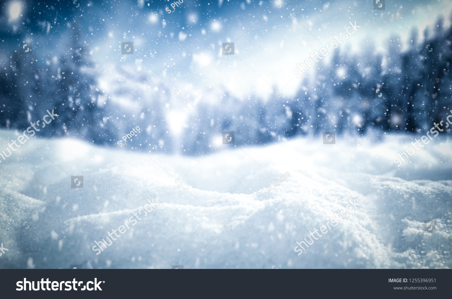 Winter background of snow and frost with free space for your decoration  #1255396951