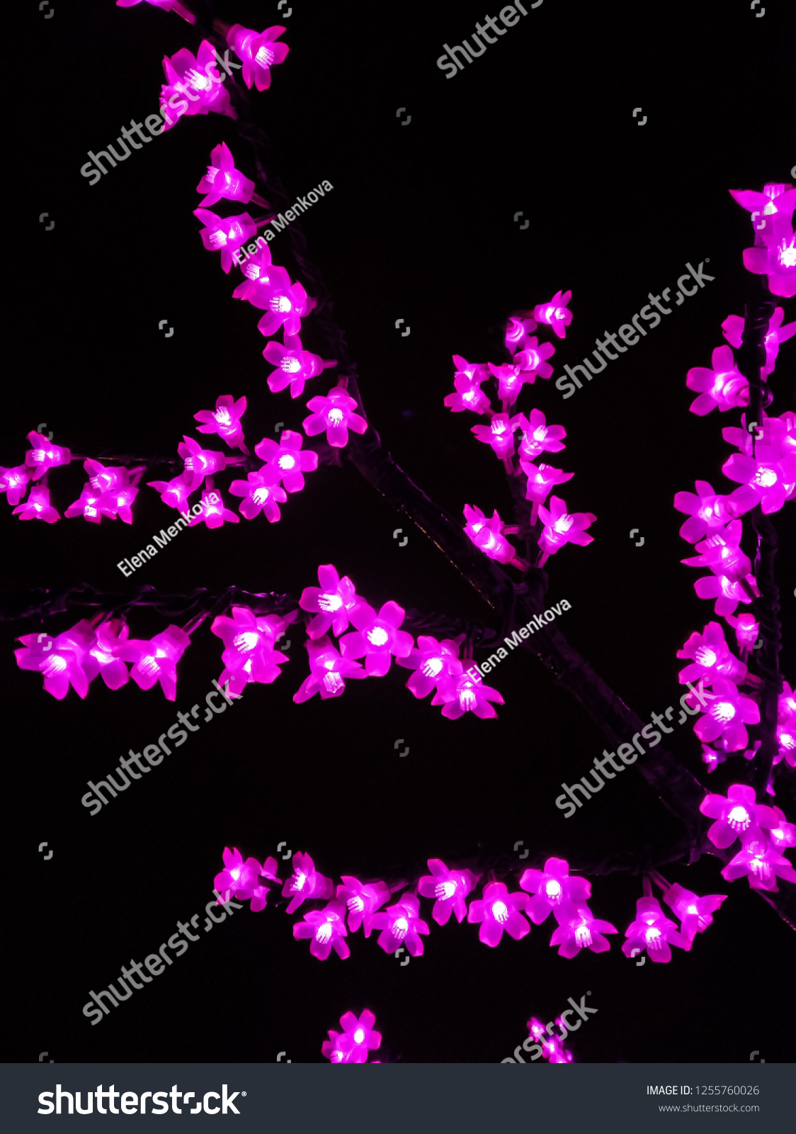 The pink decorations. - Royalty Free Stock Photo 1255760026 - Avopix.com