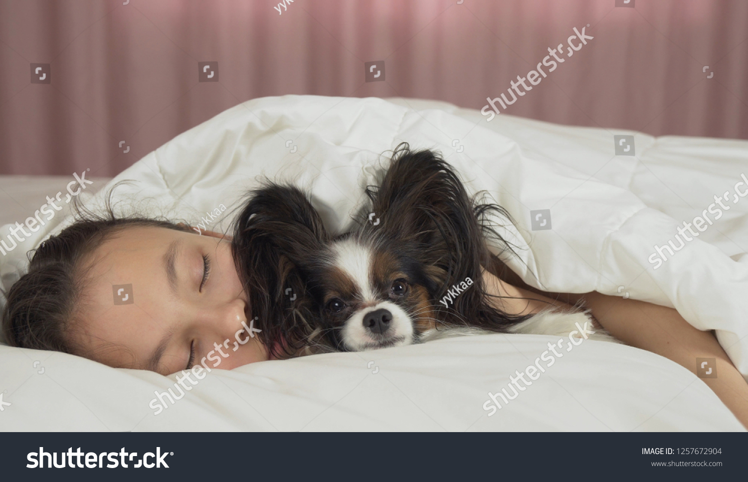 Beautiful teen girl sleeping sweetly in bed with a Papillon dog #1257672904