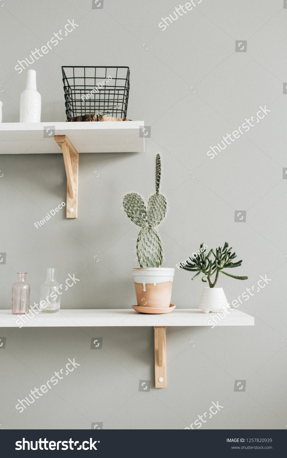 Minimal modern interior design. Cactus in flowerpot at pastel wall. #1257820939