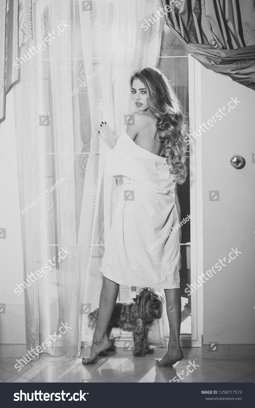 Lady with pensive face in bathrobe with nude shoulders. Girl enjoys morning near window with her cute dog. Sexy nude woman with long hair looks hot and desire. Attraction and desire concept. #1258717573