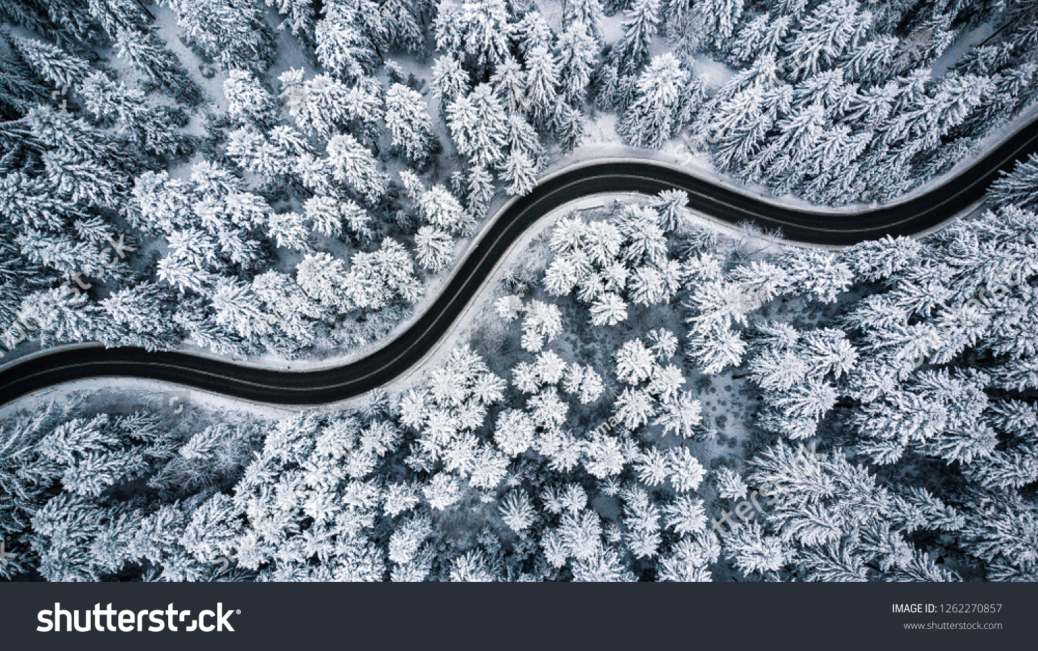 Curvy windy road in snow covered forest, top down aerial view. #1262270857