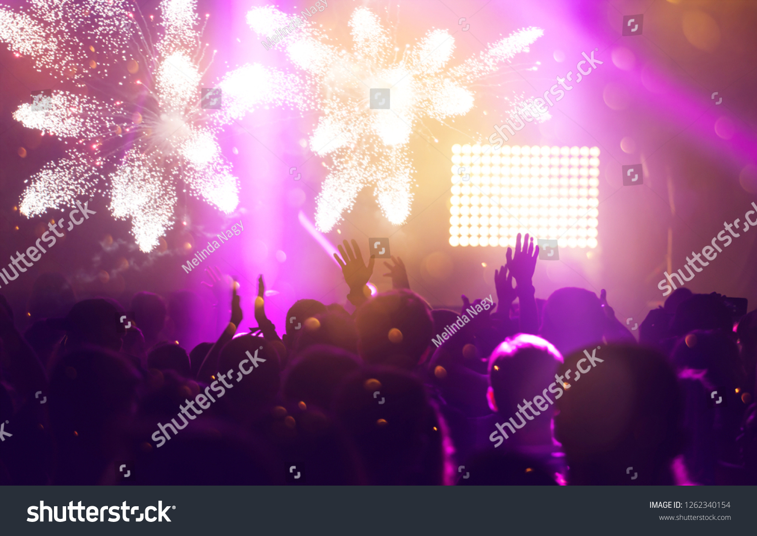 New Year concept - fireworks and cheering crowd celebrating the New Year #1262340154