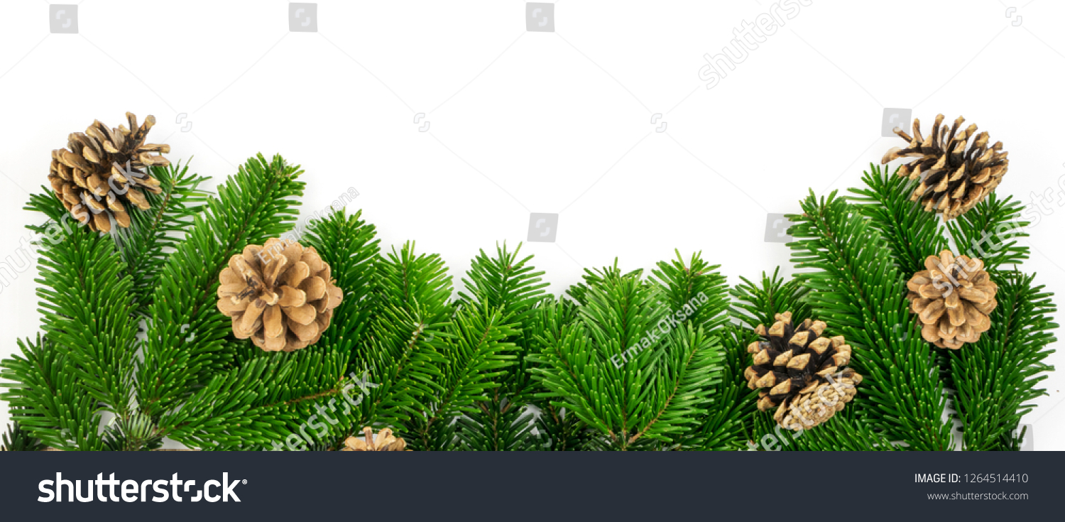Natural green spruce twig isolated on white background. Lush fir branches or pine twigs with pinecones top view #1264514410