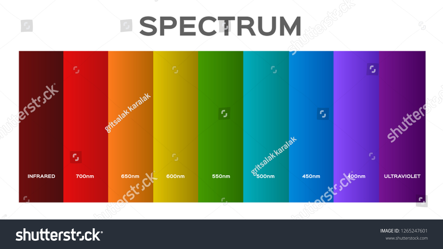 Infographic Of Visible Spectrum Color Sunlight Royalty Free Stock