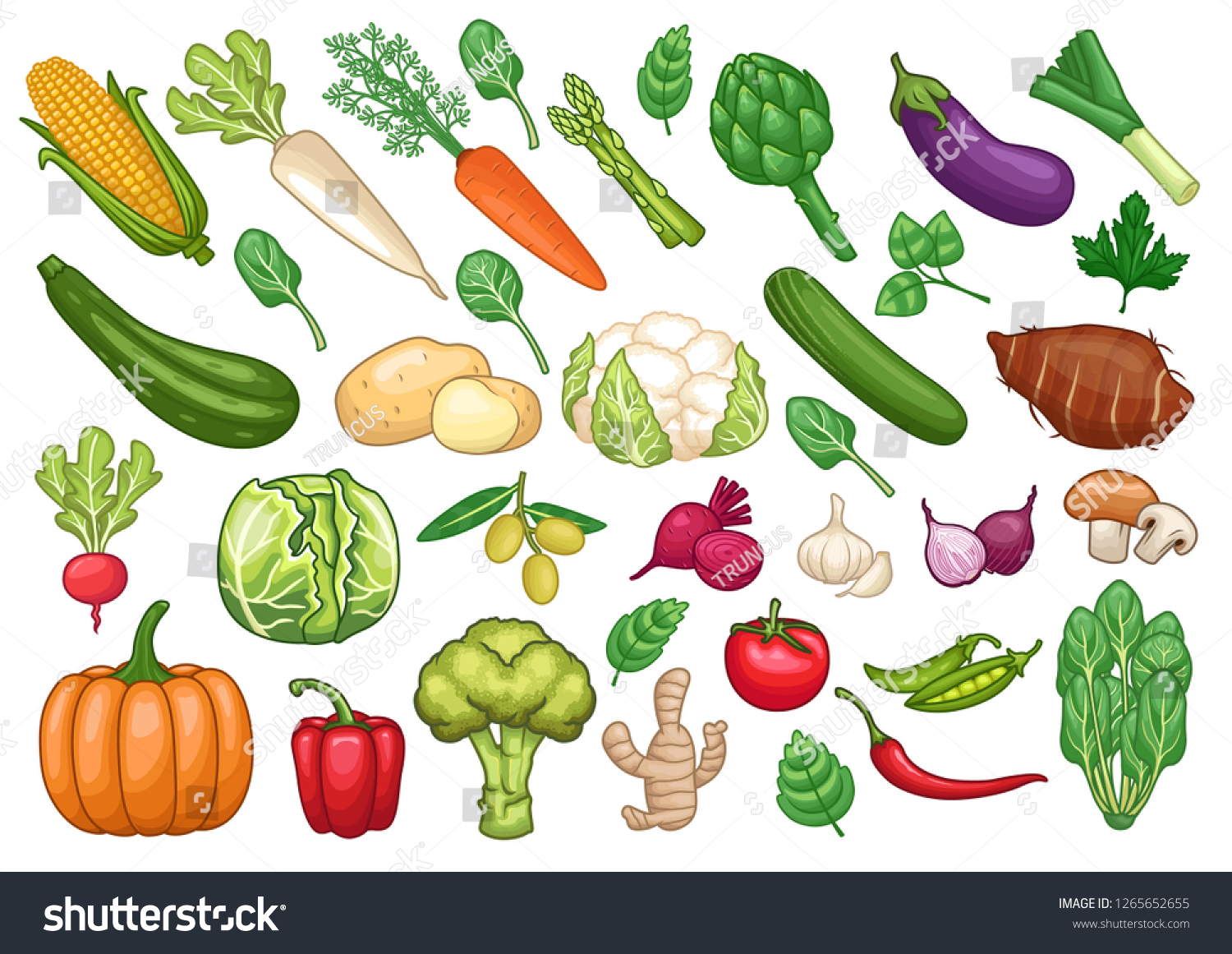 stock vector set of vegetables graphic object illustration #1265652655