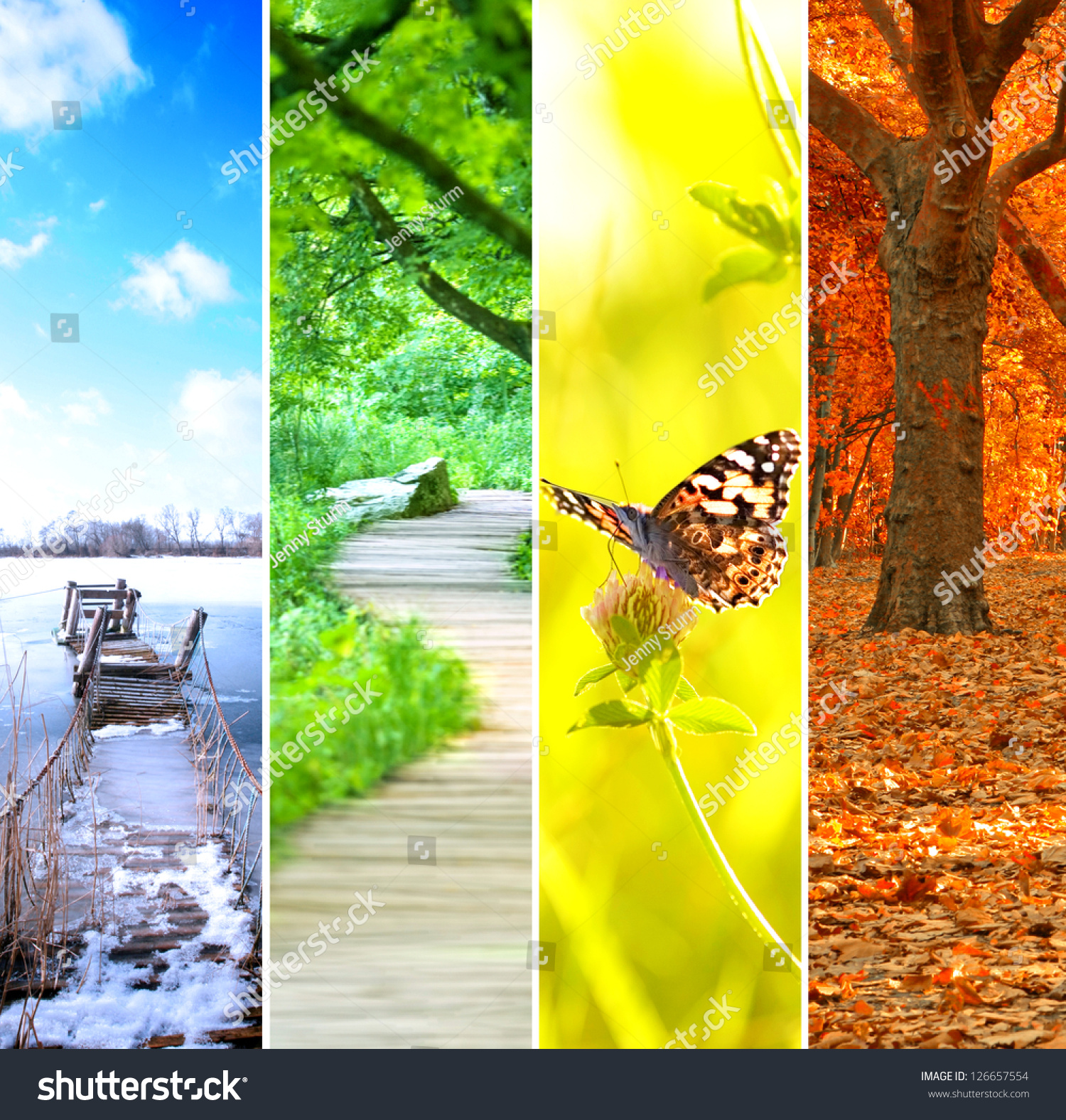 four seasons collage, several images of beautiful natural landscapes at different time of the year - winter spring, summer, autumn, planet earth life cycle concept #126657554