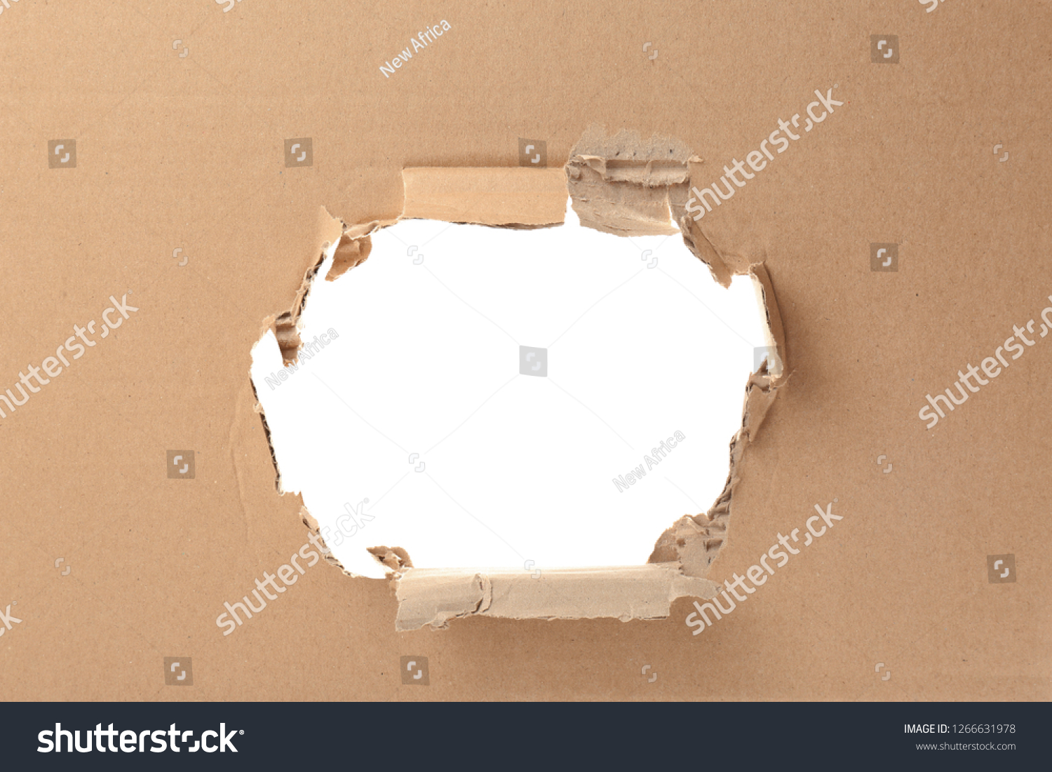 Hole in cardboard on white background. Recyclable material #1266631978