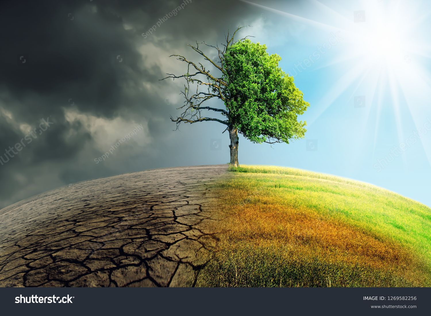 

climate change withered earth #1269582256