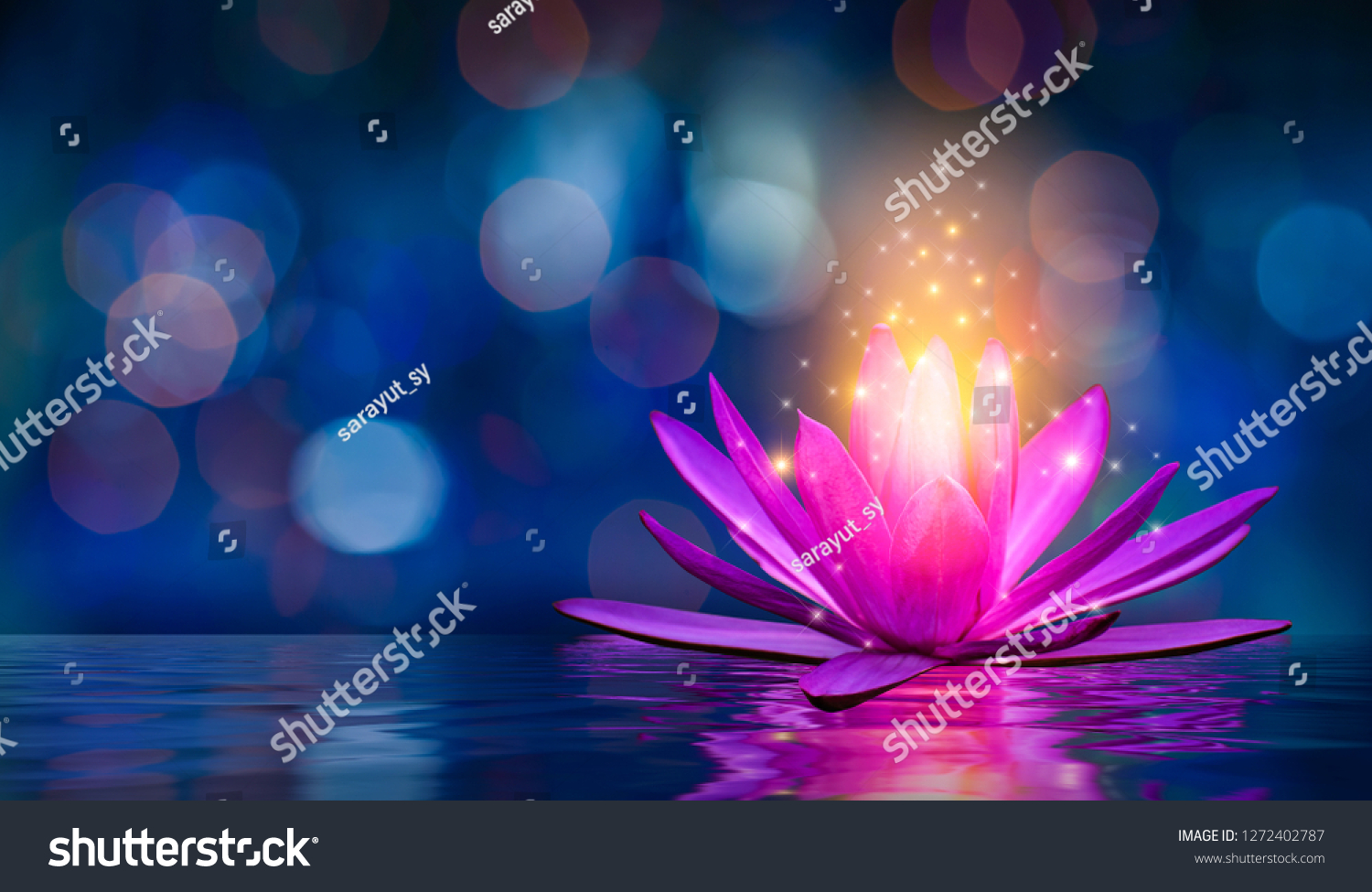 lotus Pink light purple floating light sparkle purple background #1272402787