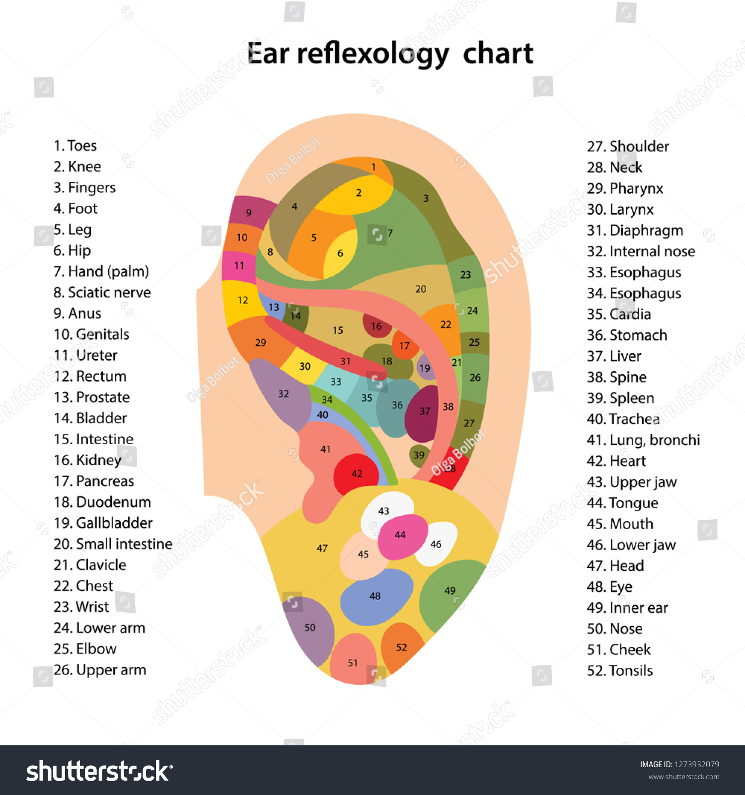 Ear reflexology chart with description of the - Royalty Free Stock ...