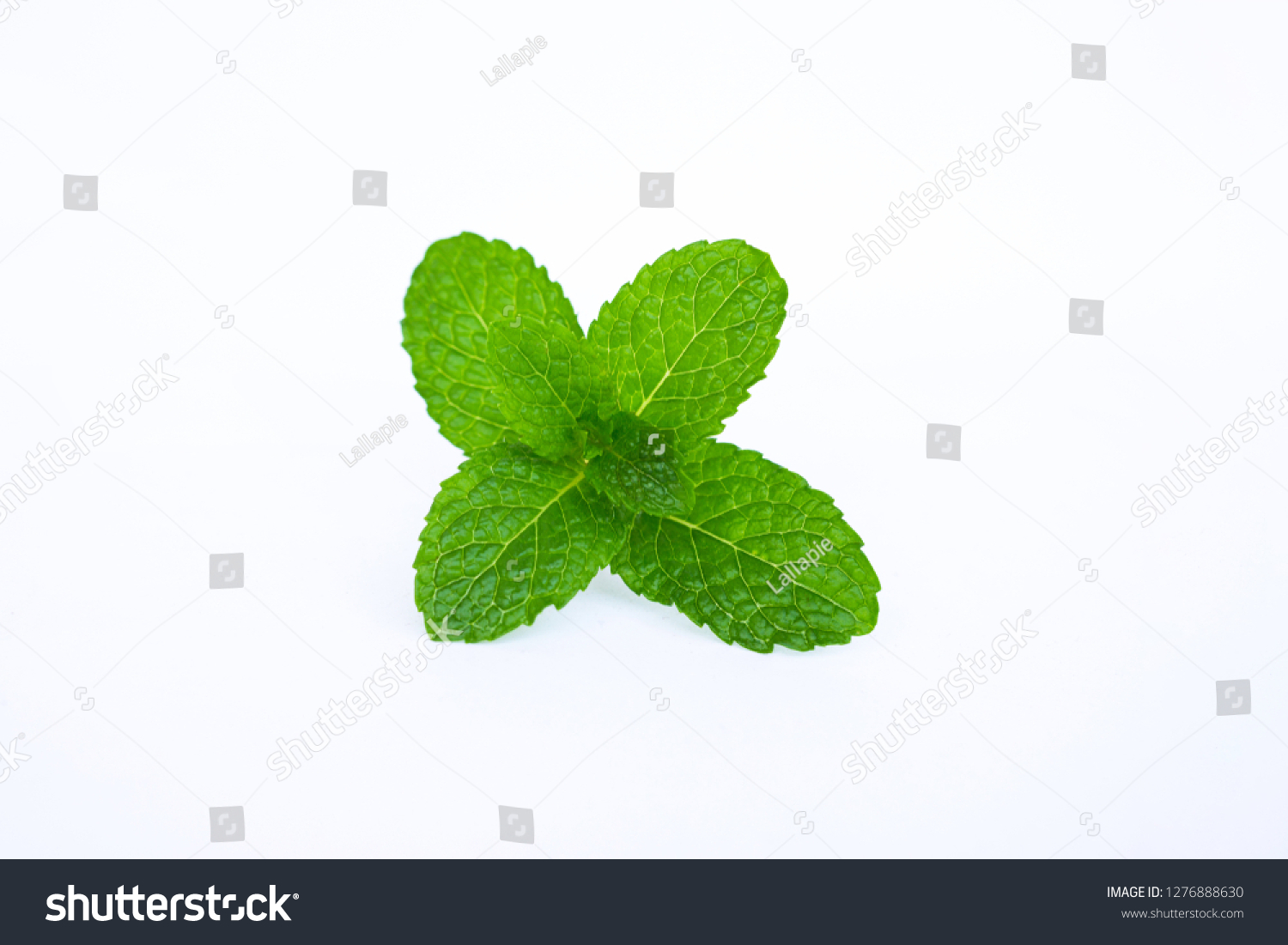Close up green mint leaf on white background. #1276888630