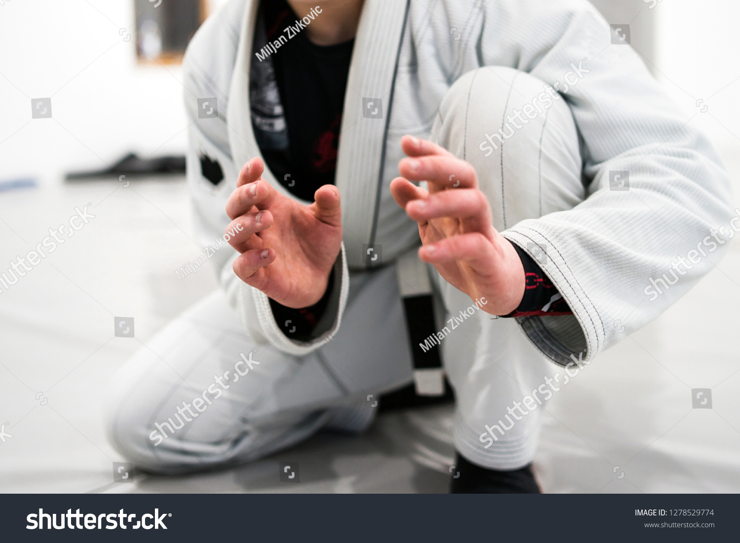 Brazilian Jiu JItsu BJJ WHite Belt Fighter In A Fighting stance #1278529774