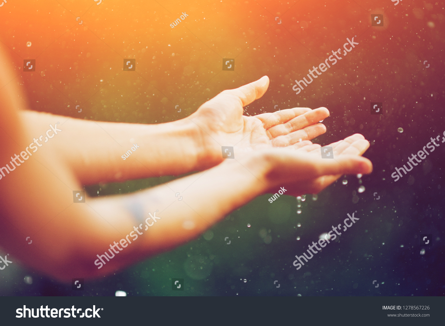hand catching rain drops on blurred background. Woman hands praying for blessing from god on sunset. Empowerment, sacred forgiveness, positive arm energy, good morning, reborn change calm zen concept. #1278567226