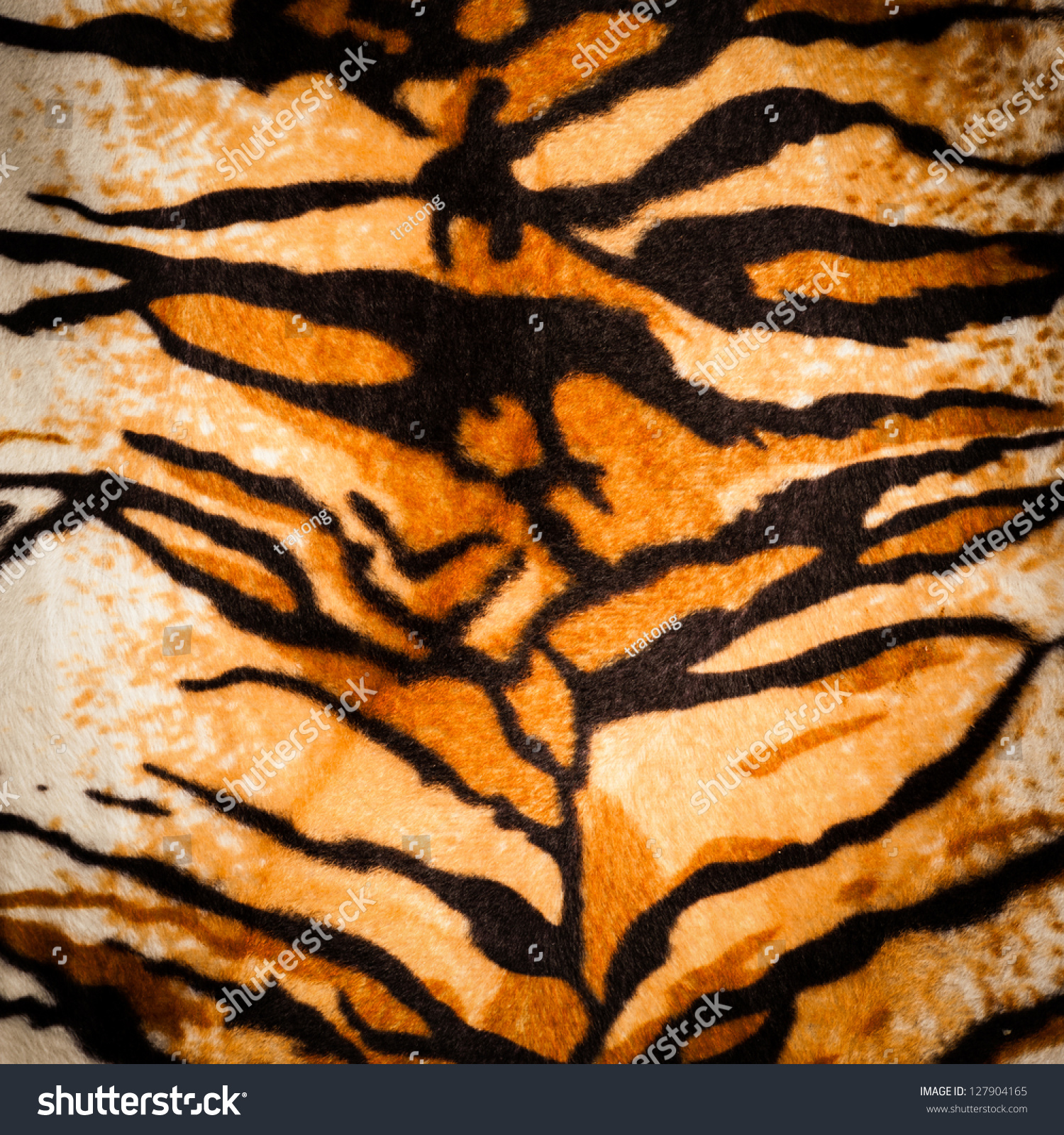 tiger fur texture #127904165