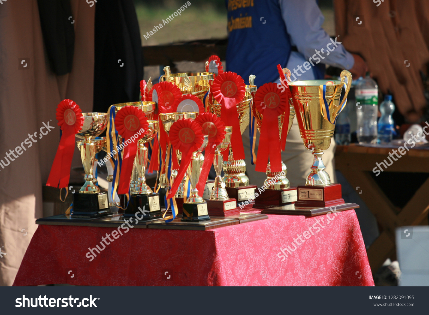 Cup of horses endurance on the table with red rosettes #1282091095